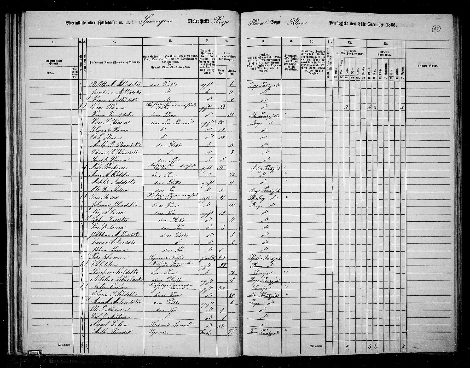 RA, 1865 census for Berg, 1865, p. 58