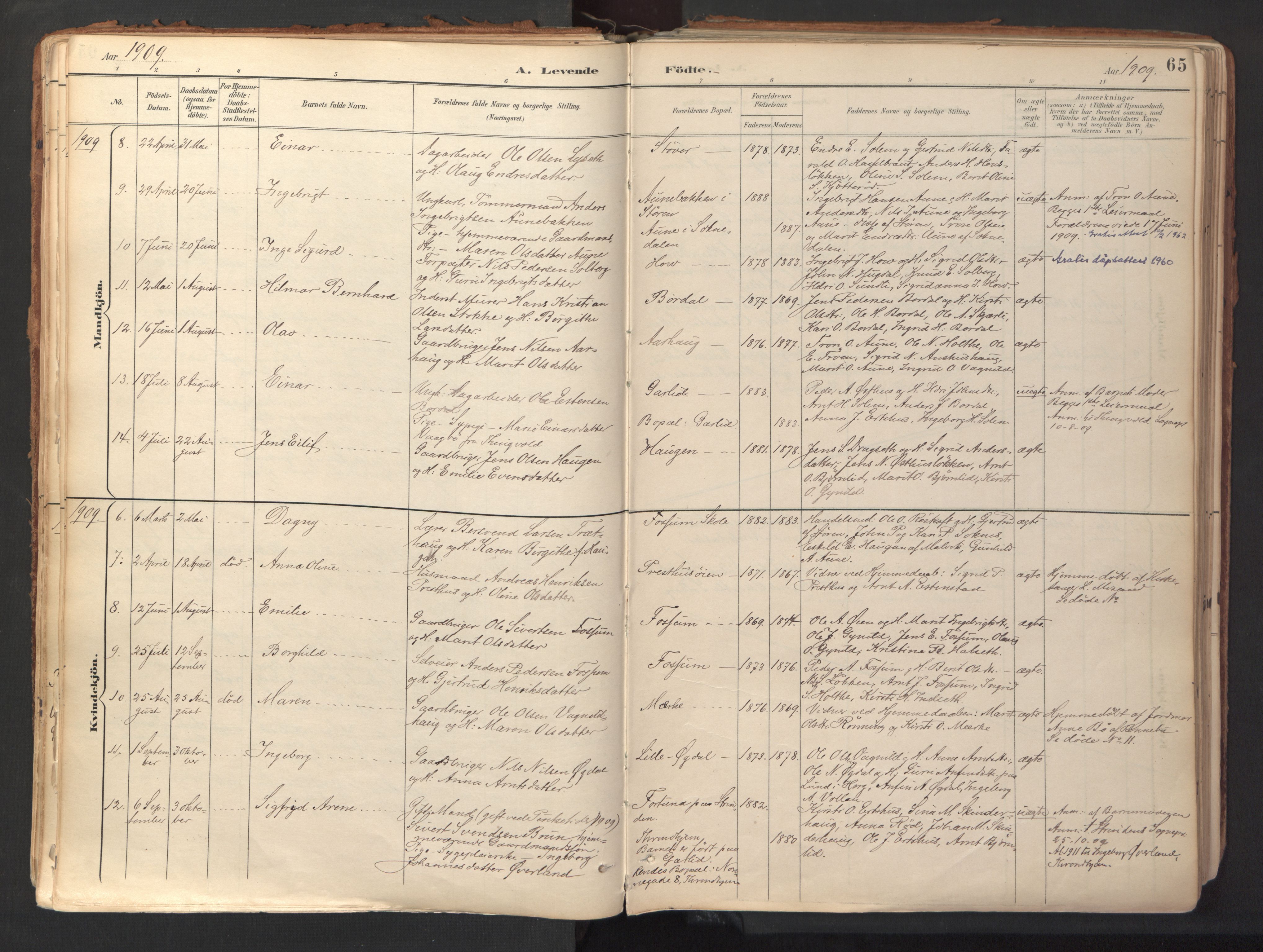 Ministerialprotokoller, klokkerbøker og fødselsregistre - Sør-Trøndelag, SAT/A-1456/689/L1041: Parish register (official) no. 689A06, 1891-1923, p. 65