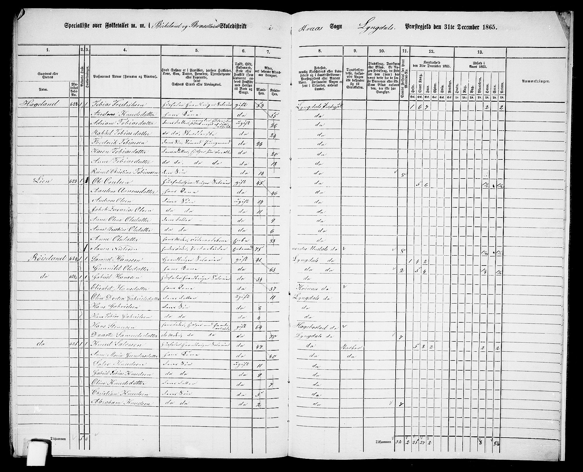 RA, 1865 census for Lyngdal, 1865, p. 250