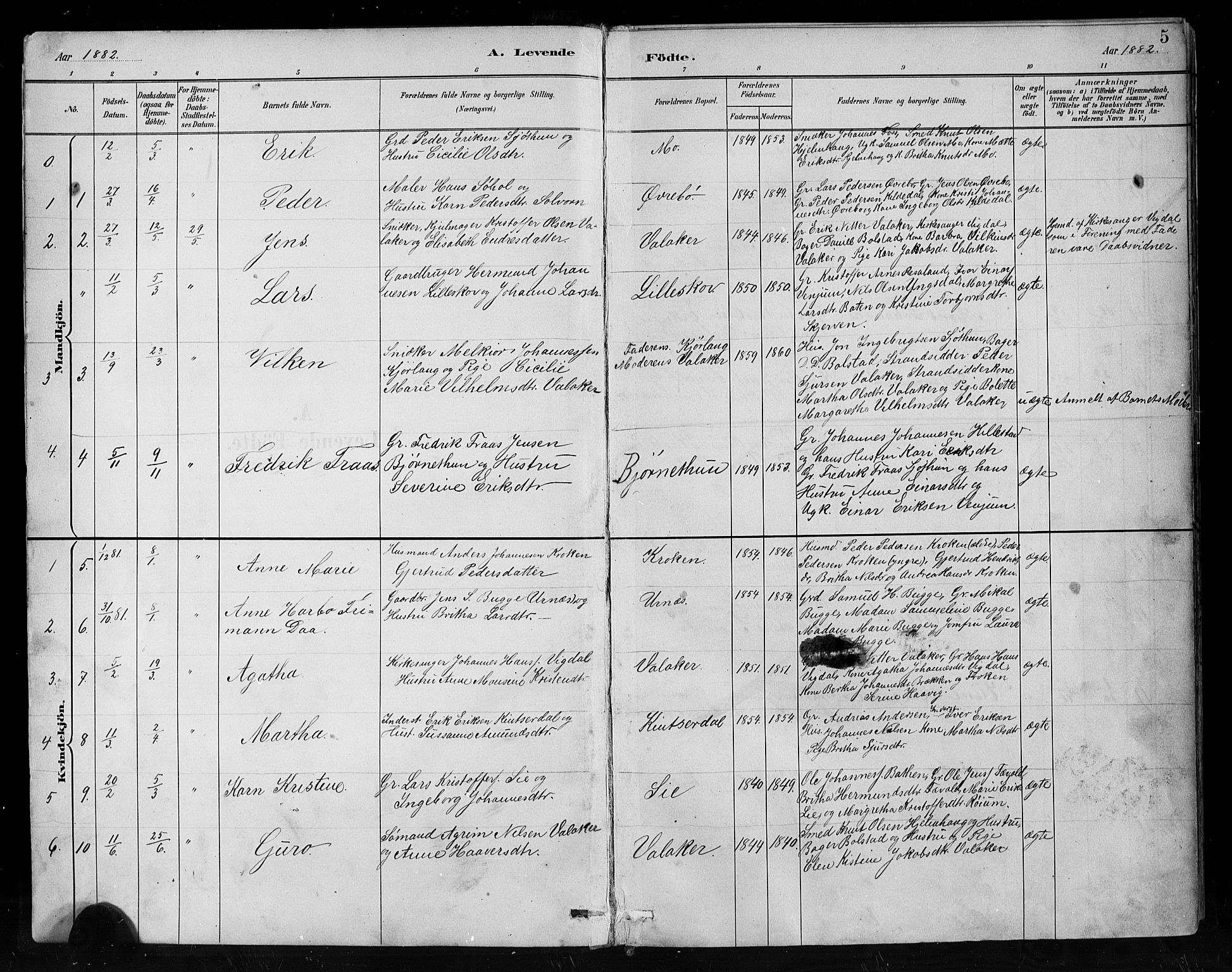 Hafslo sokneprestembete, AV/SAB-A-80301/H/Hab/Habc/L0001: Parish register (copy) no. C 1, 1882-1908, p. 5