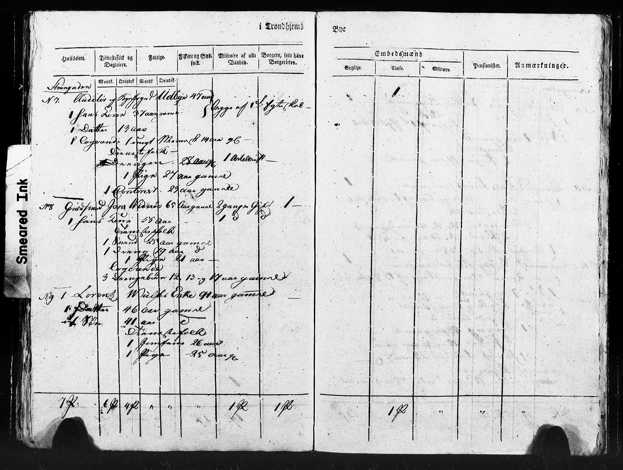 SAT, Census 1815 for Trondheim (transcript), 1815, p. 162