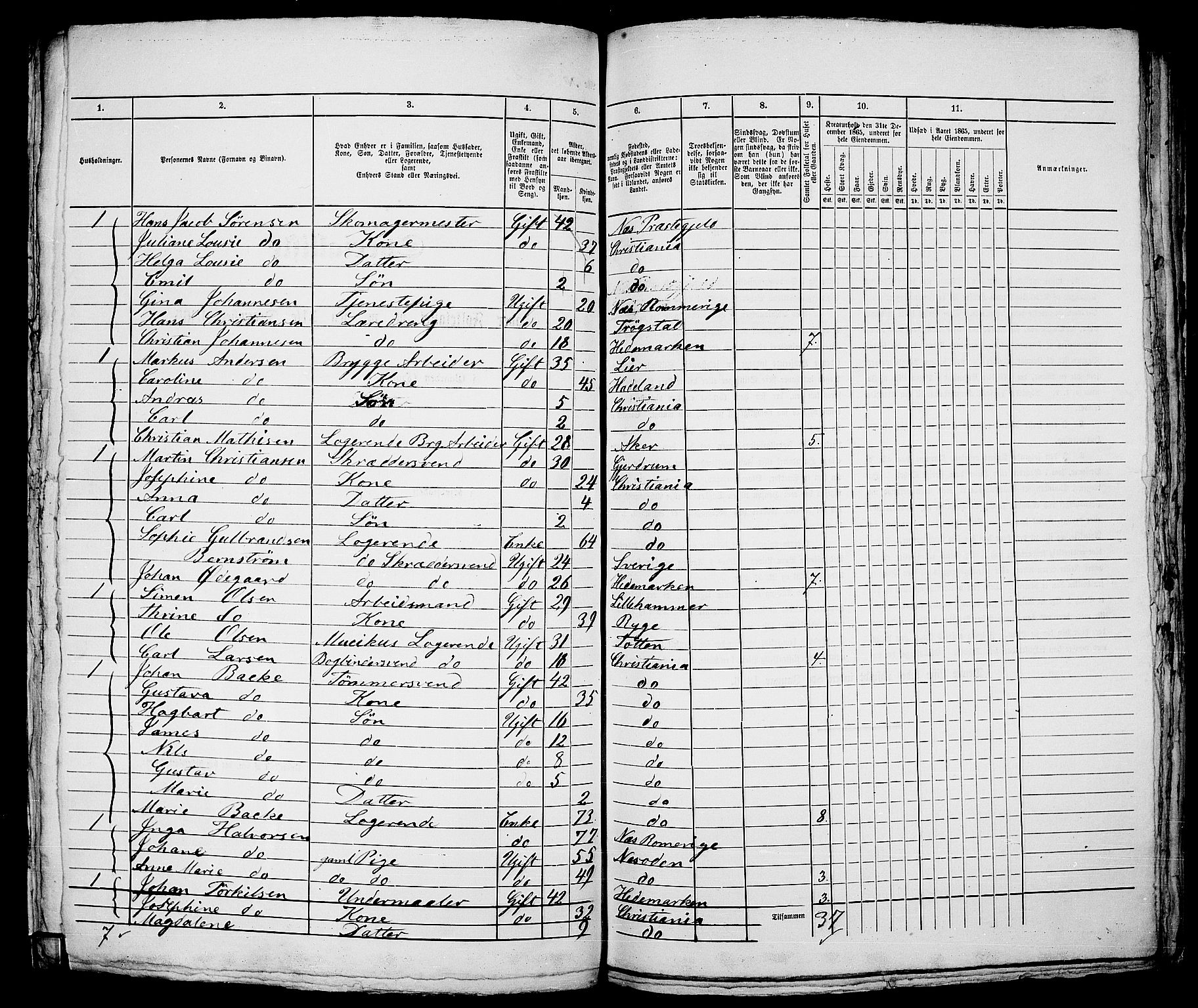 RA, 1865 census for Kristiania, 1865, p. 1391