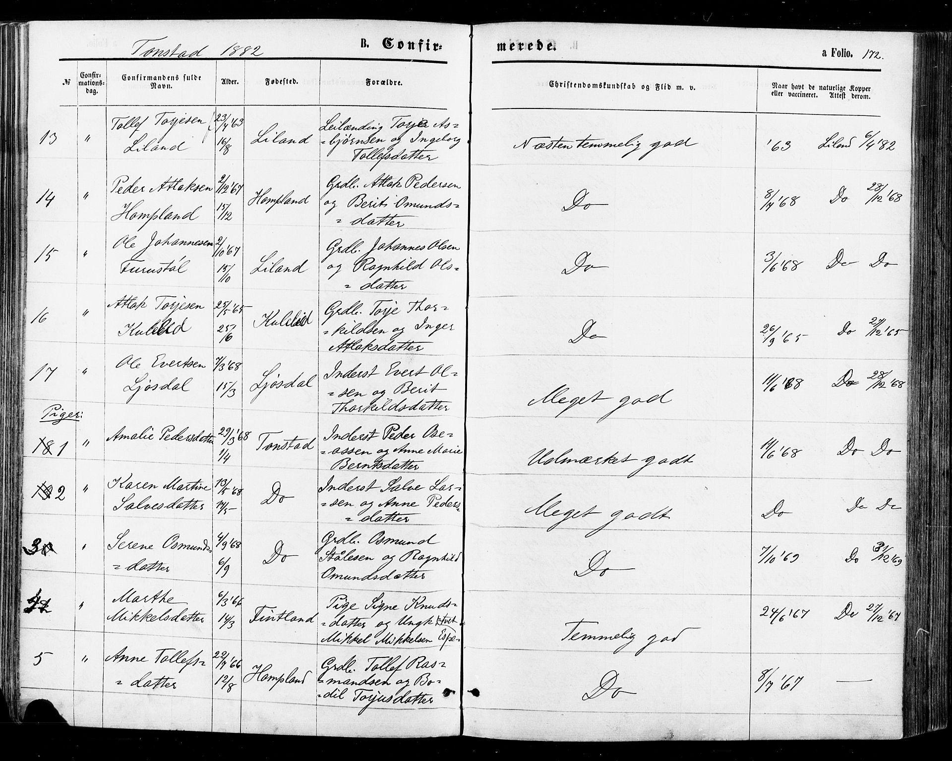 Sirdal sokneprestkontor, AV/SAK-1111-0036/F/Fa/Fab/L0003: Parish register (official) no. A 3, 1874-1886, p. 172