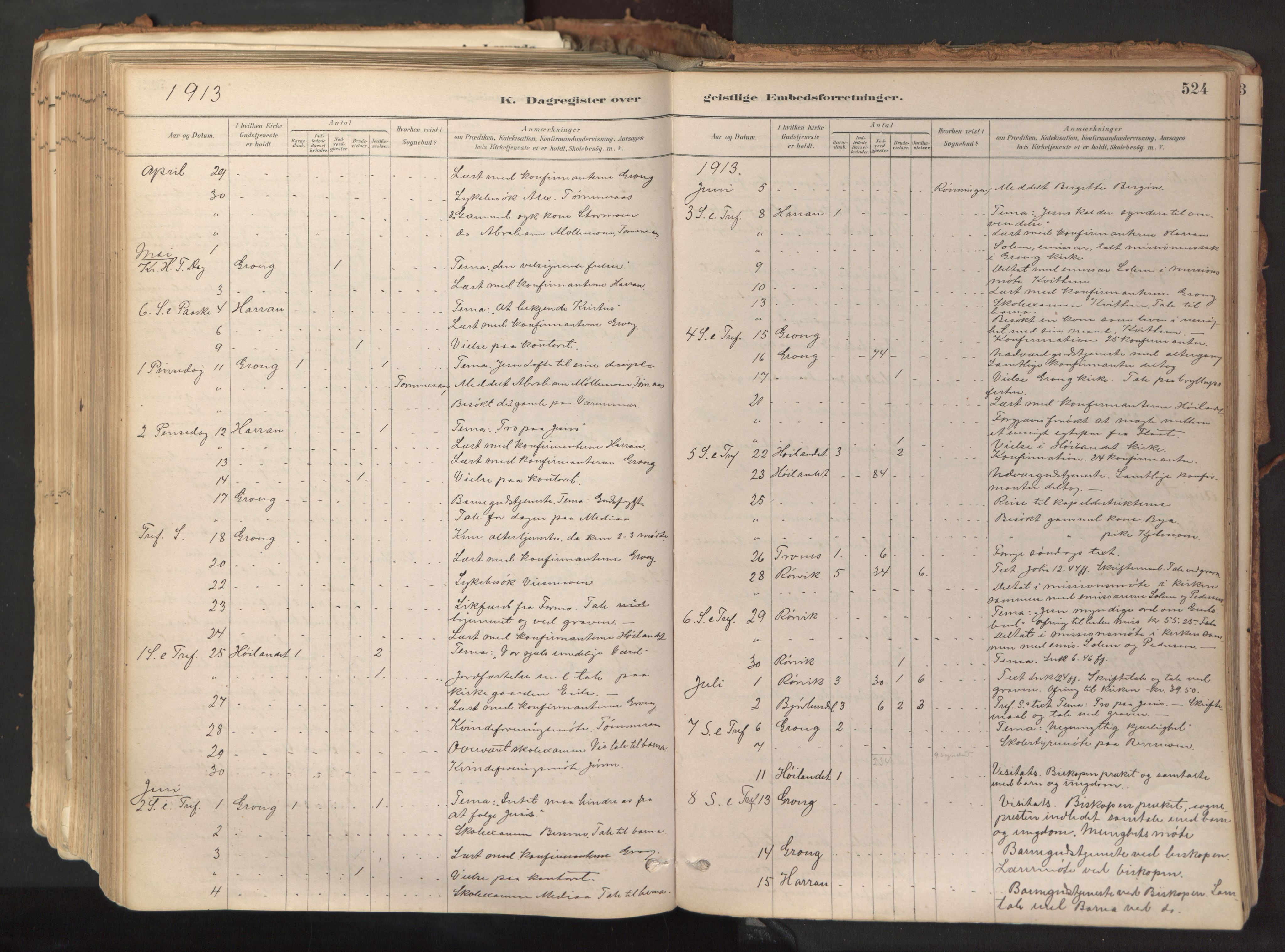 Ministerialprotokoller, klokkerbøker og fødselsregistre - Nord-Trøndelag, AV/SAT-A-1458/758/L0519: Parish register (official) no. 758A04, 1880-1926, p. 524