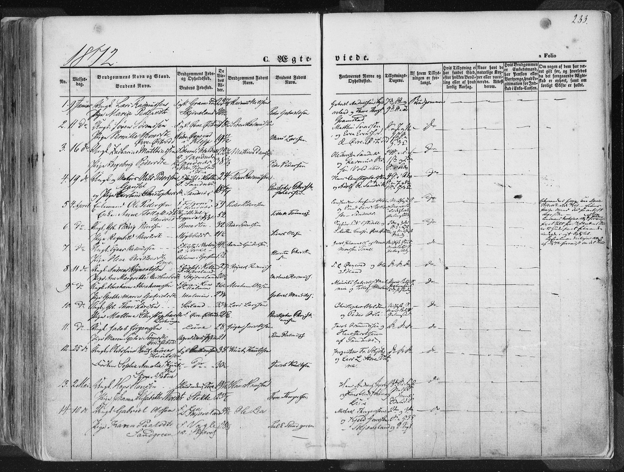Høyland sokneprestkontor, SAST/A-101799/001/30BA/L0010: Parish register (official) no. A 9.1, 1857-1877, p. 233