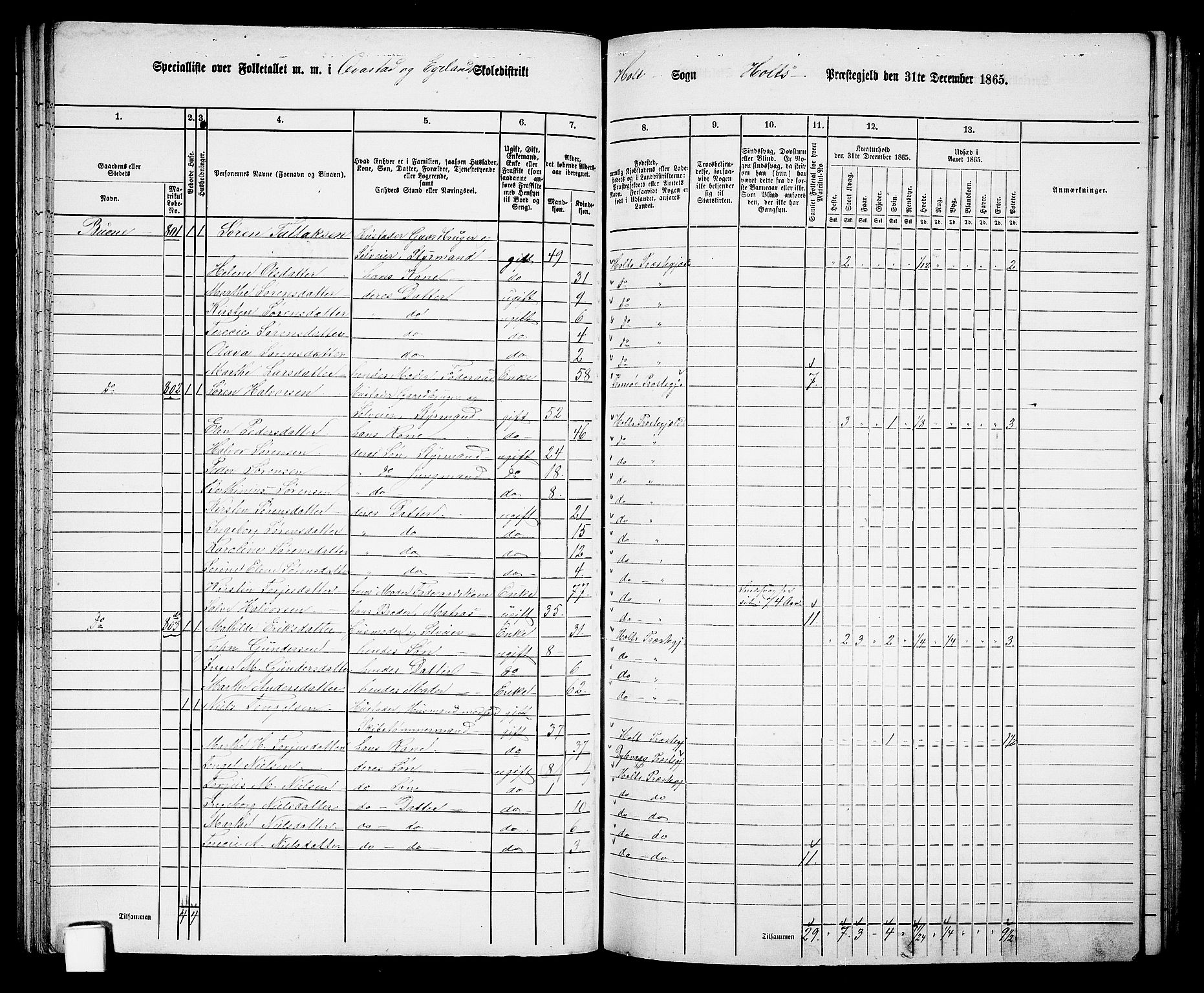 RA, 1865 census for Holt/Holt, 1865, p. 52