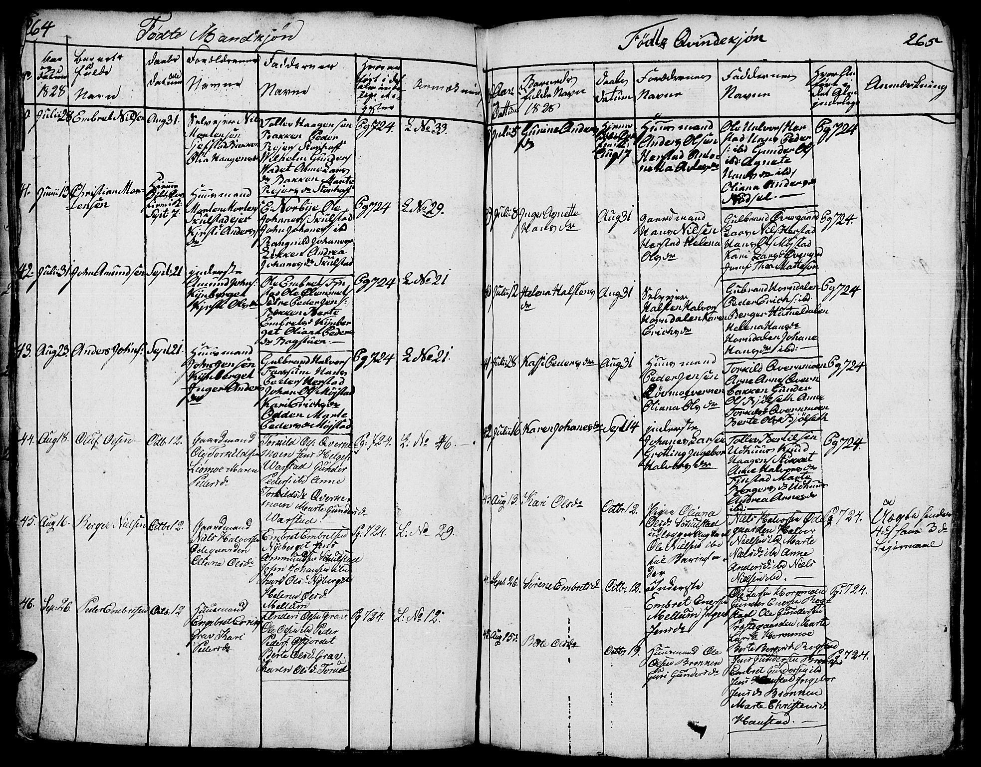 Elverum prestekontor, AV/SAH-PREST-044/H/Ha/Hab/L0001: Parish register (copy) no. 1, 1815-1829, p. 264-265