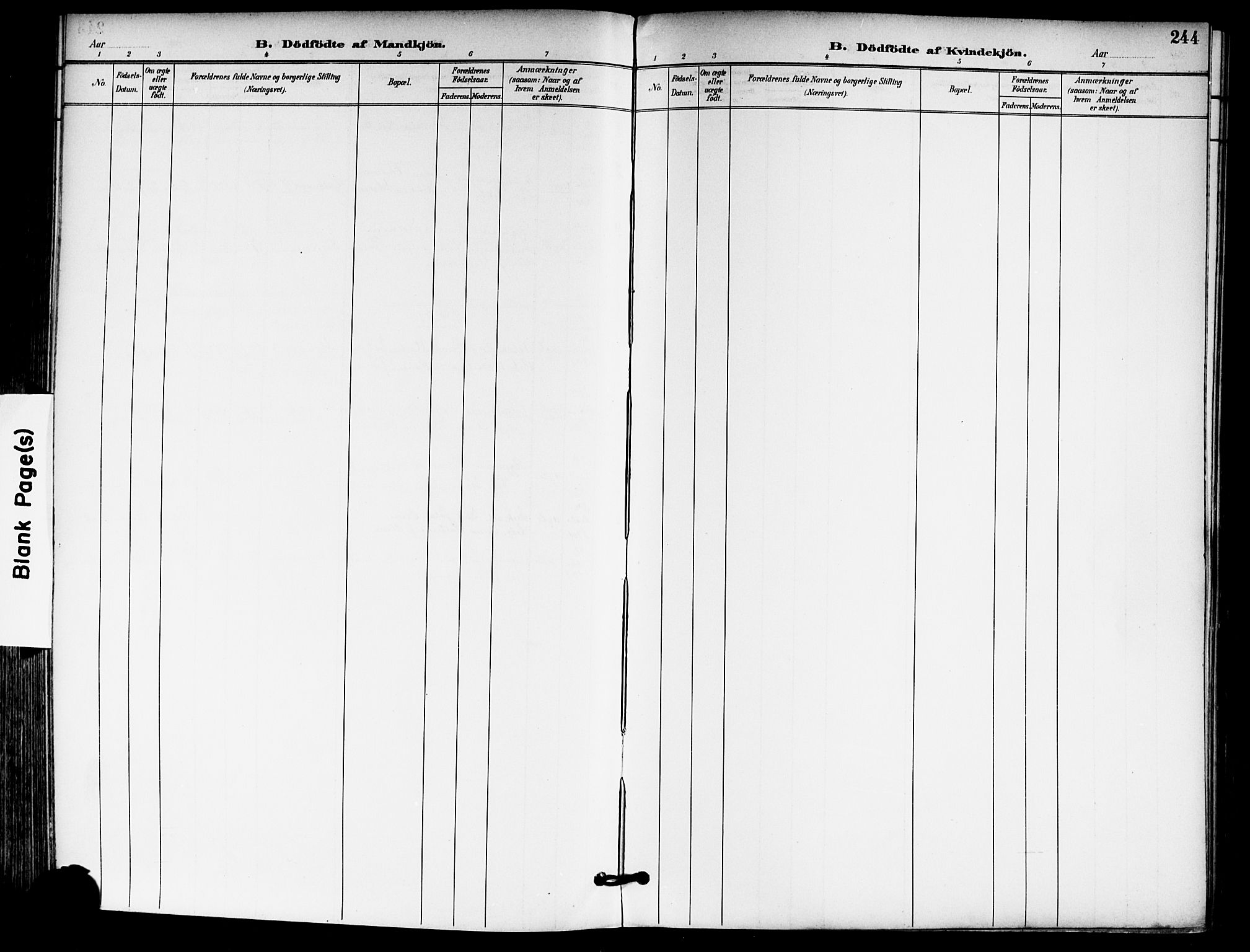 Moss prestekontor Kirkebøker, AV/SAO-A-2003/F/Fb/L0003: Parish register (official) no. II 3, 1894-1901, p. 244