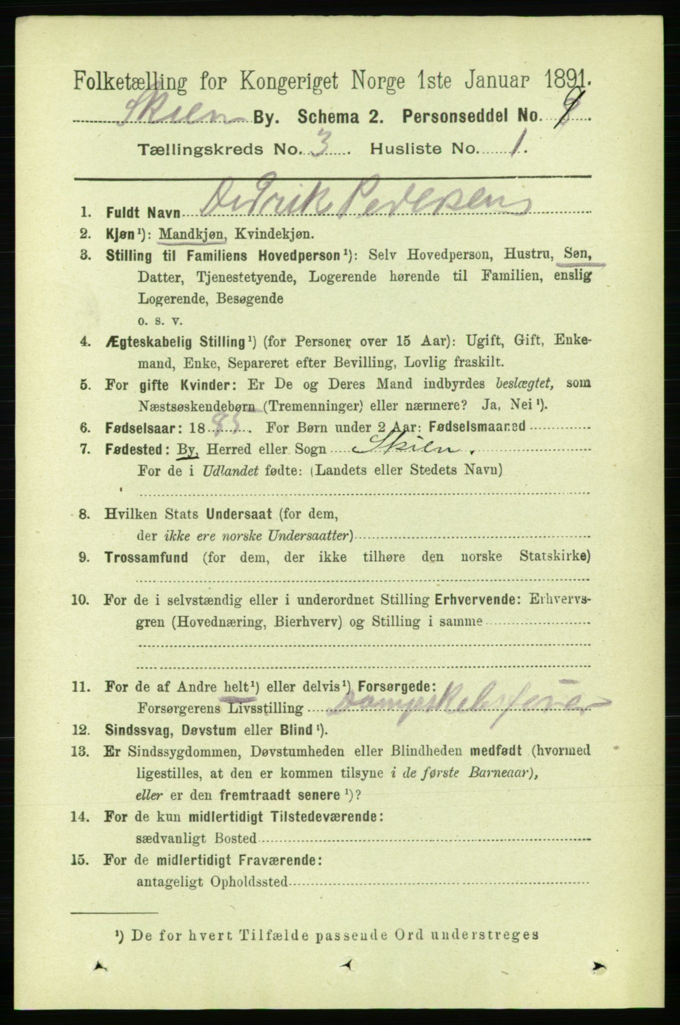 RA, 1891 census for 0806 Skien, 1891, p. 2473