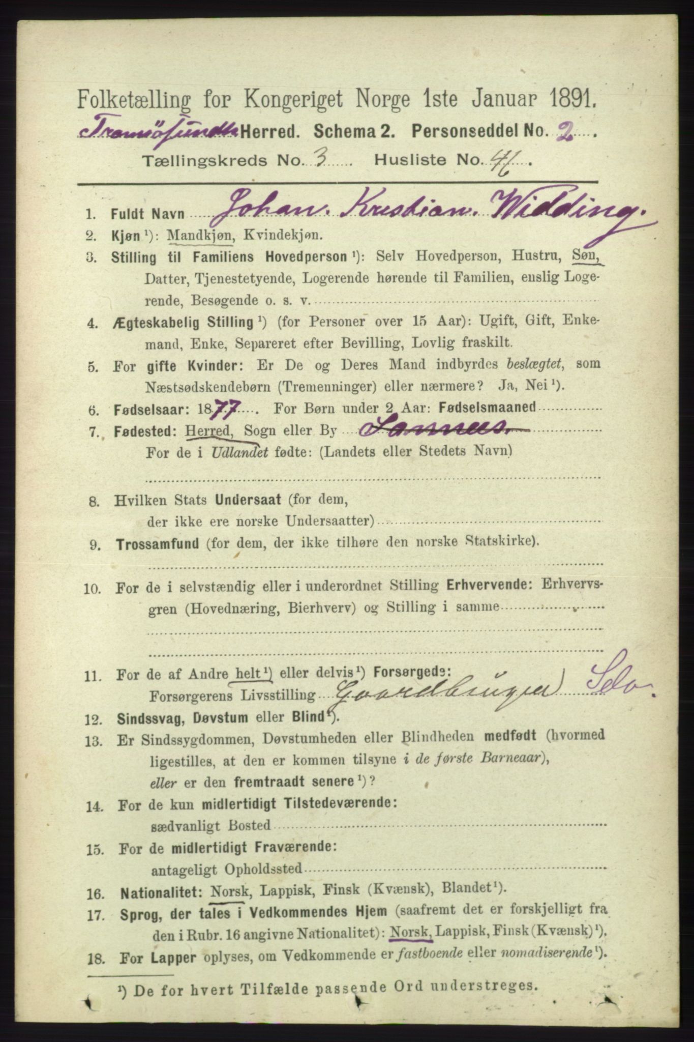 RA, 1891 census for 1934 Tromsøysund, 1891, p. 1315