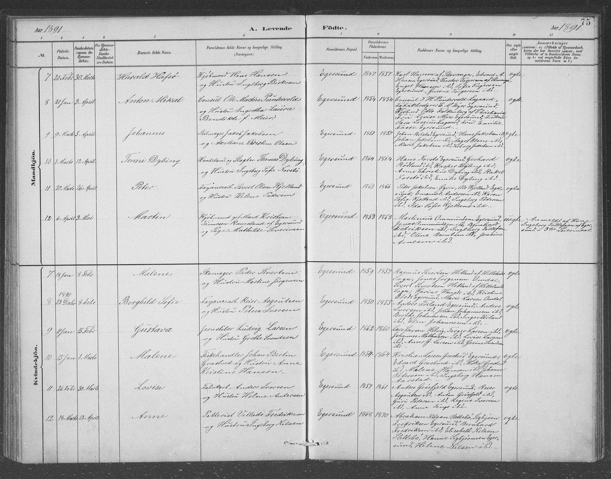 Eigersund sokneprestkontor, AV/SAST-A-101807/S09/L0008: Parish register (copy) no. B 8, 1882-1892, p. 75