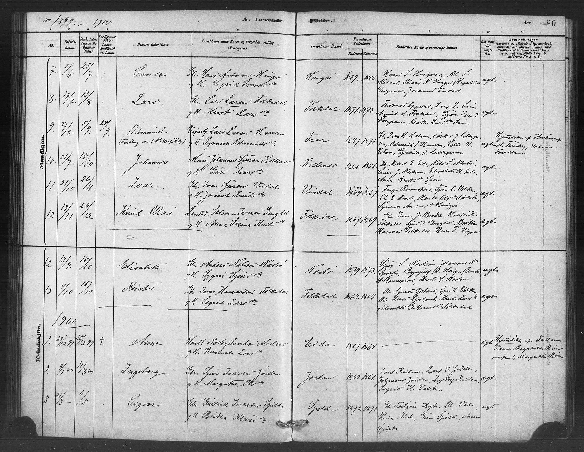 Ulvik sokneprestembete, SAB/A-78801/H/Haa: Parish register (official) no. C 1, 1878-1903, p. 80