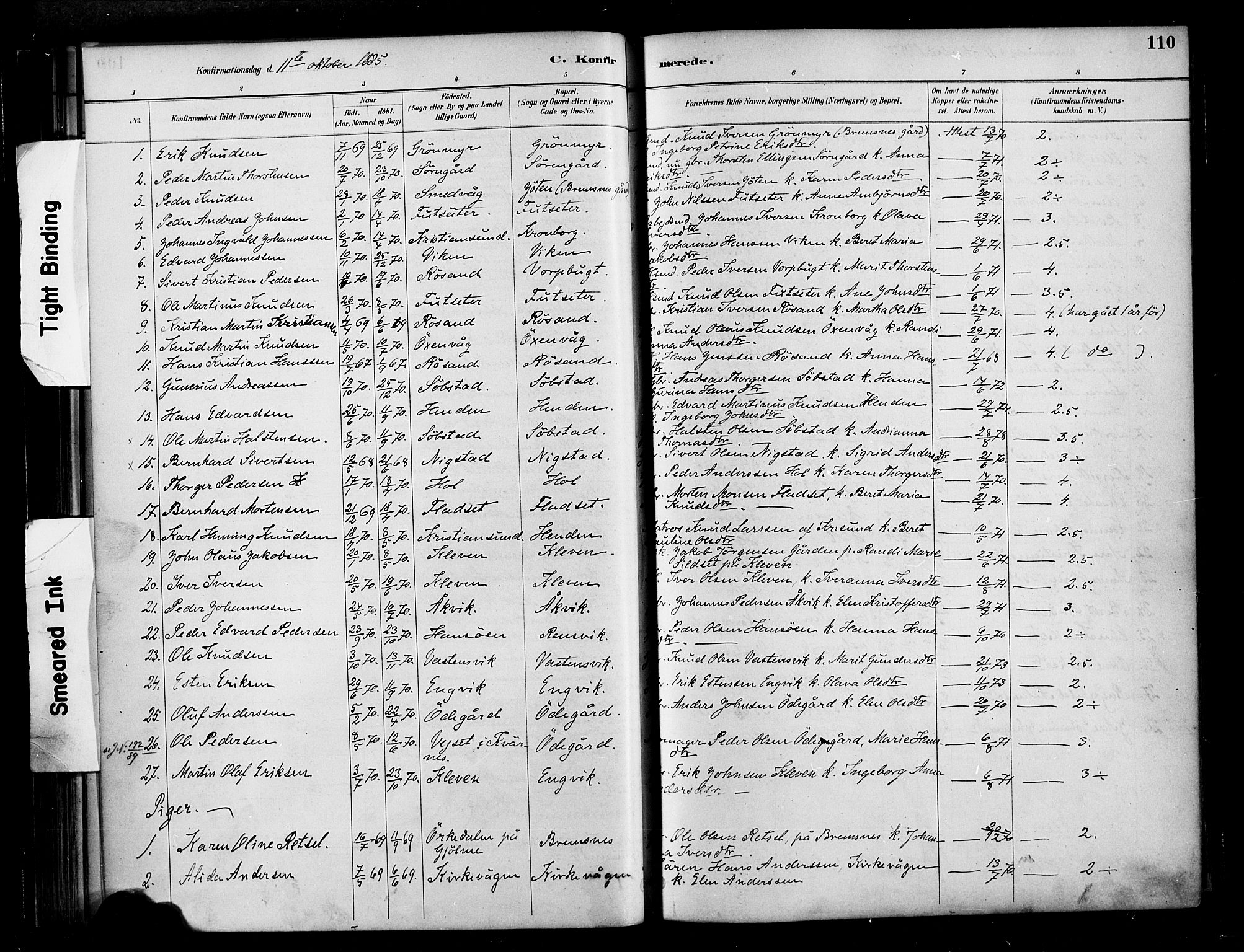 Ministerialprotokoller, klokkerbøker og fødselsregistre - Møre og Romsdal, AV/SAT-A-1454/569/L0819: Parish register (official) no. 569A05, 1885-1899, p. 110