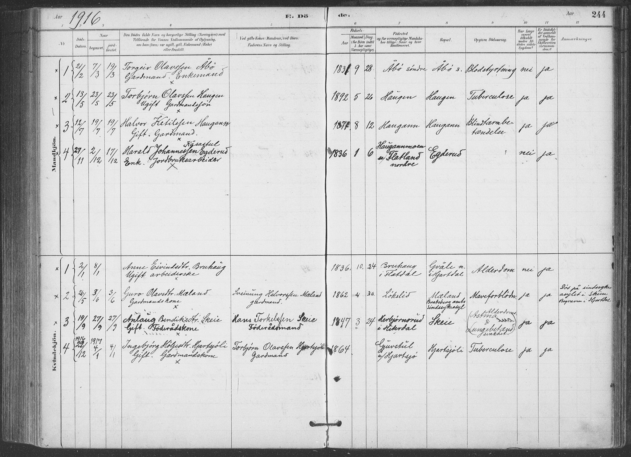 Hjartdal kirkebøker, SAKO/A-270/F/Fa/L0010: Parish register (official) no. I 10, 1880-1929, p. 244