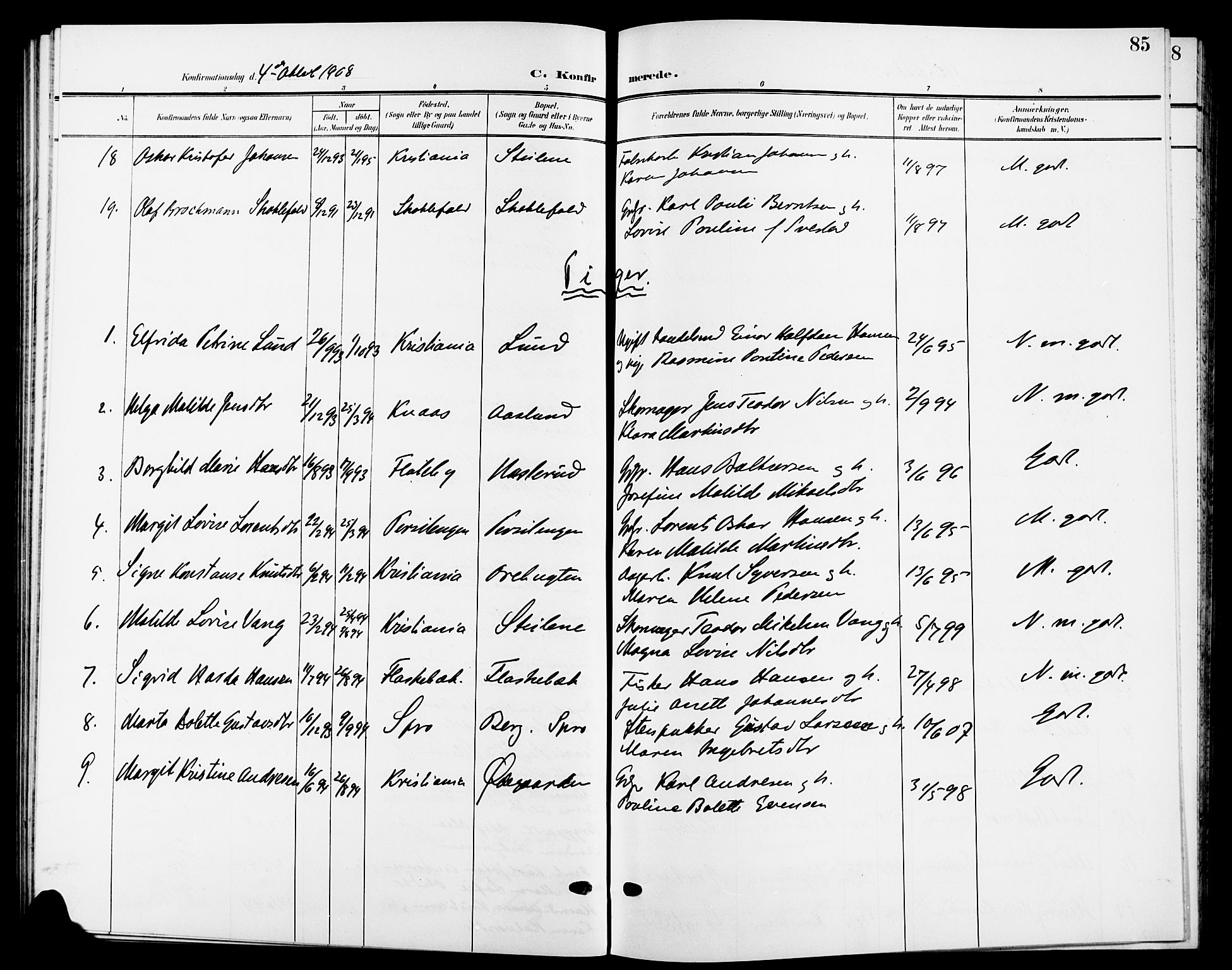 Nesodden prestekontor Kirkebøker, AV/SAO-A-10013/G/Ga/L0002: Parish register (copy) no. I 2, 1905-1924, p. 85