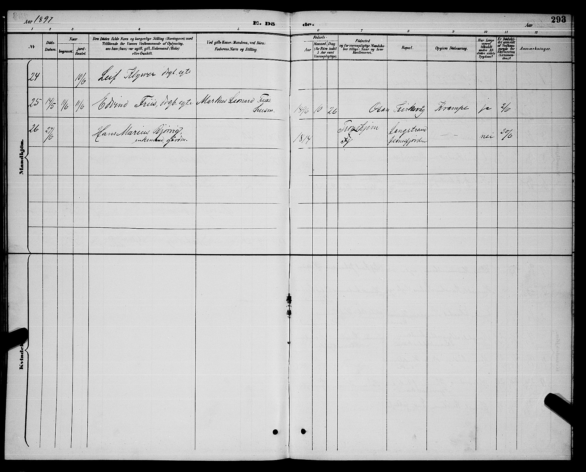 Ministerialprotokoller, klokkerbøker og fødselsregistre - Nordland, AV/SAT-A-1459/874/L1077: Parish register (copy) no. 874C06, 1891-1900, p. 293