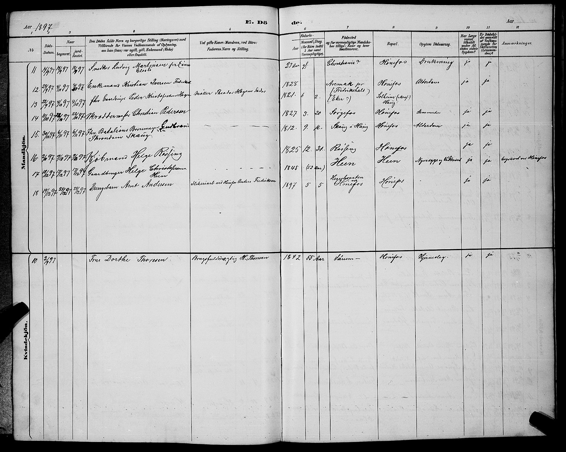 Hønefoss kirkebøker, AV/SAKO-A-609/G/Ga/L0002: Parish register (copy) no. 2, 1888-1904