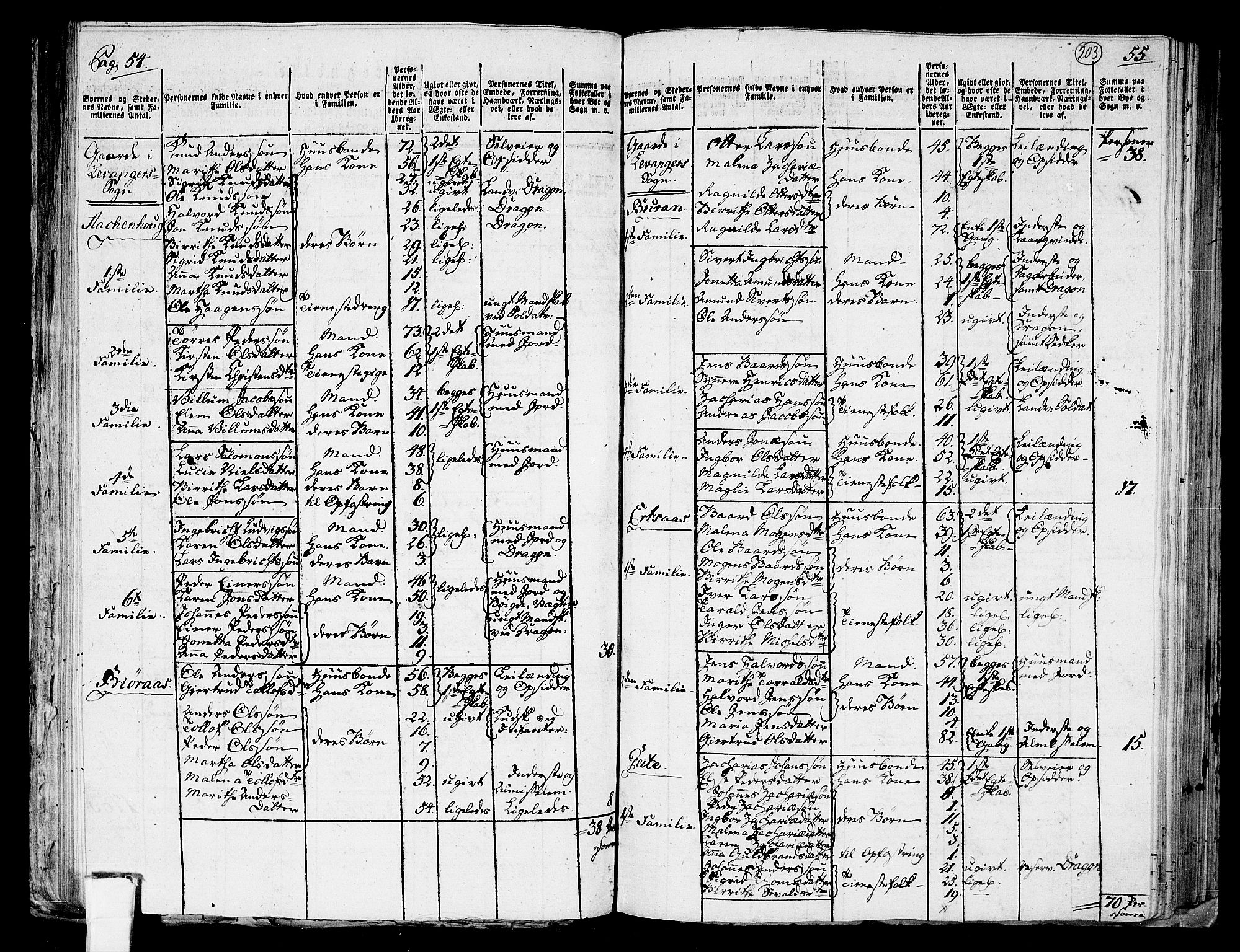 RA, 1801 census for 1719P Skogn, 1801, p. 202b-203a