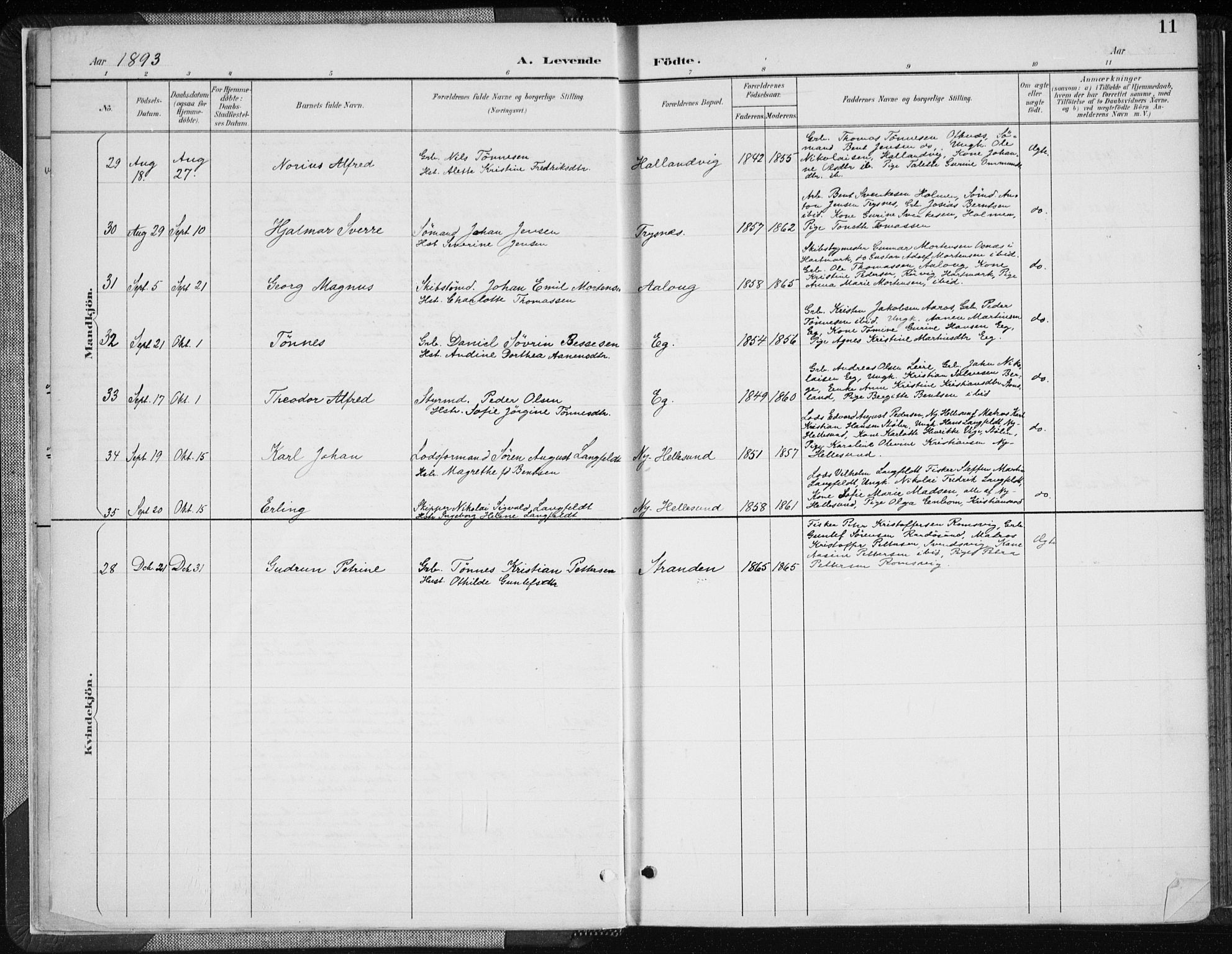 Søgne sokneprestkontor, AV/SAK-1111-0037/F/Fa/Fab/L0013: Parish register (official) no. A 13, 1892-1911, p. 11