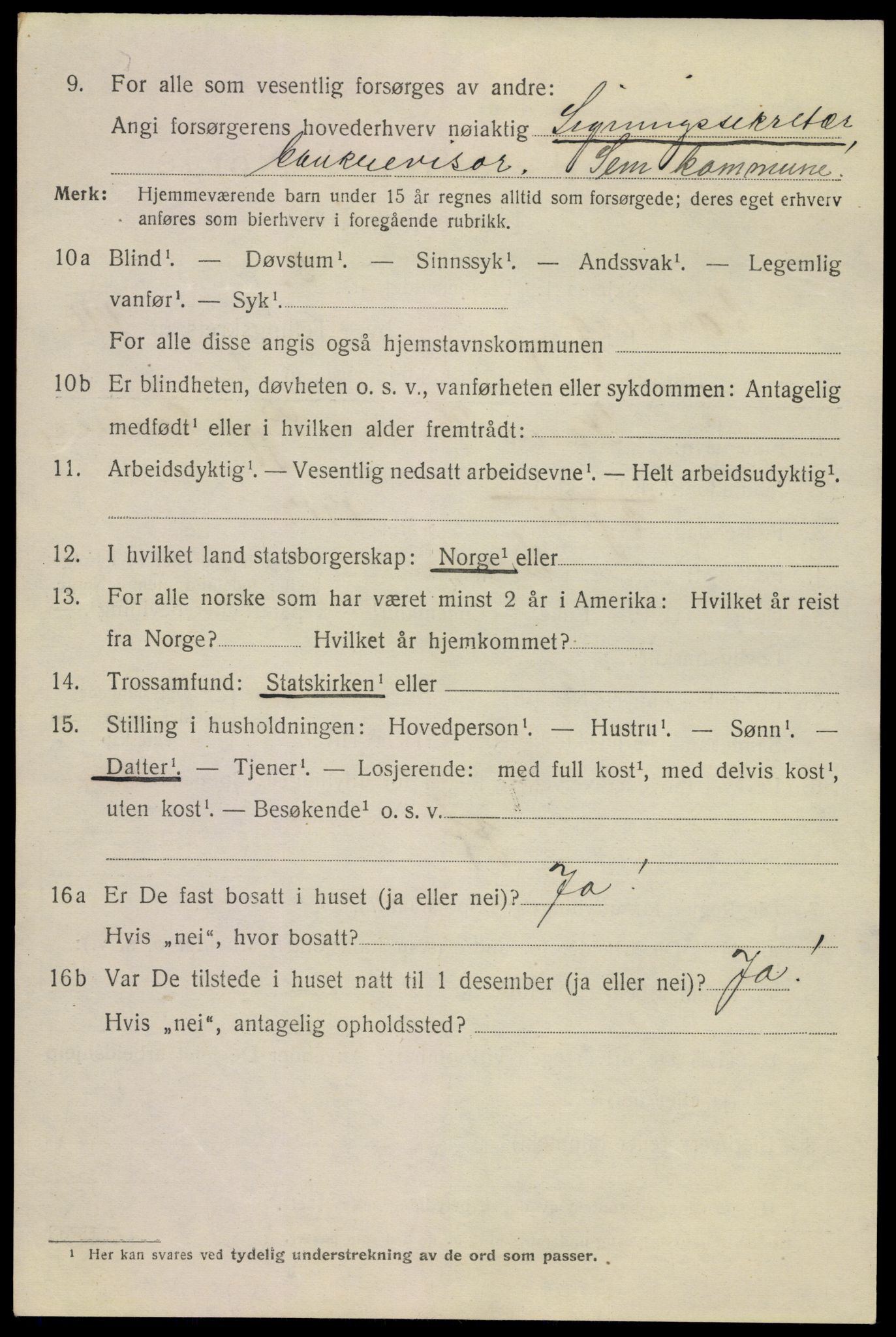 SAKO, 1920 census for Tønsberg, 1920, p. 12008