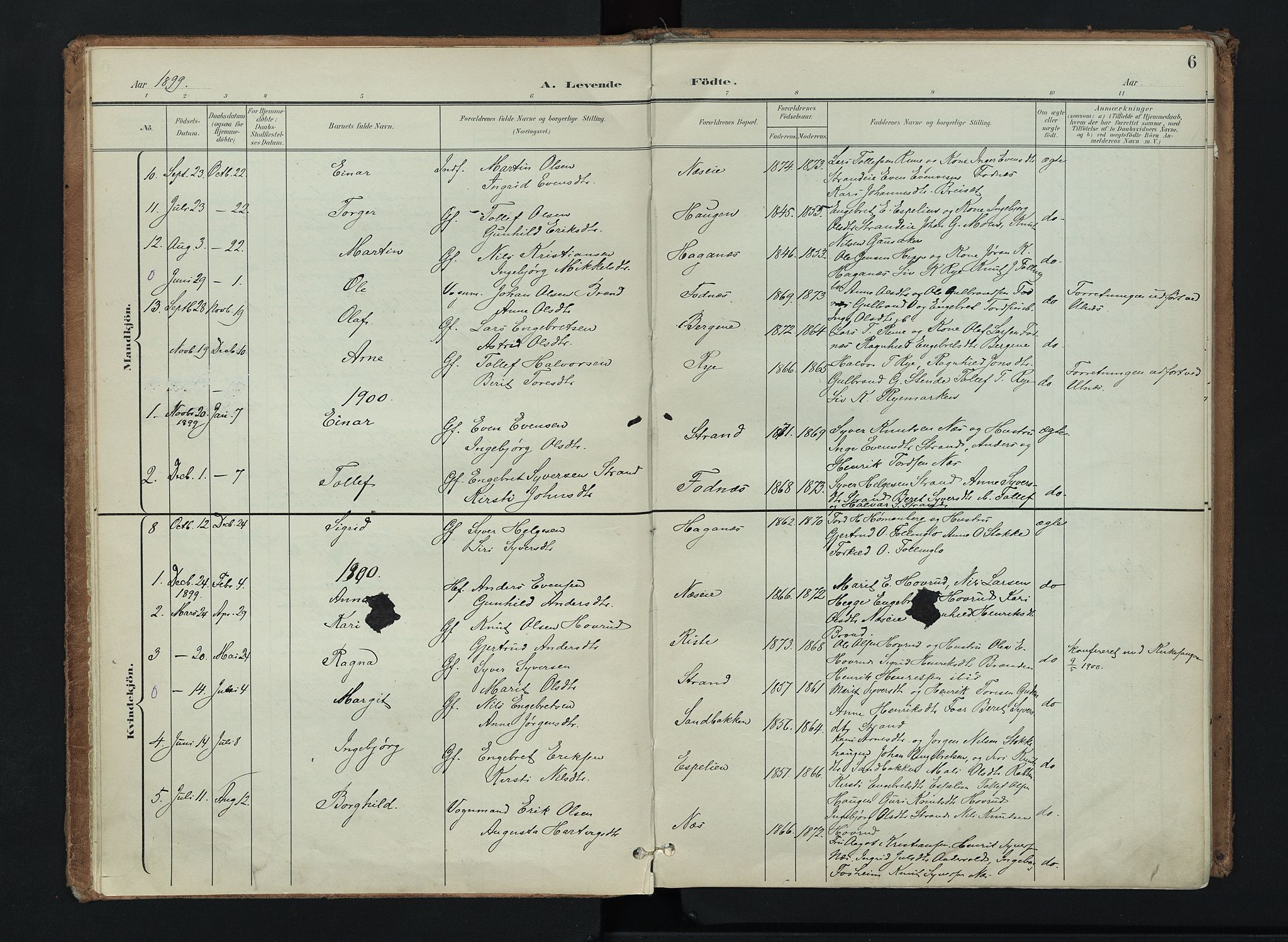 Nord-Aurdal prestekontor, SAH/PREST-132/H/Ha/Haa/L0016: Parish register (official) no. 16, 1897-1925, p. 6