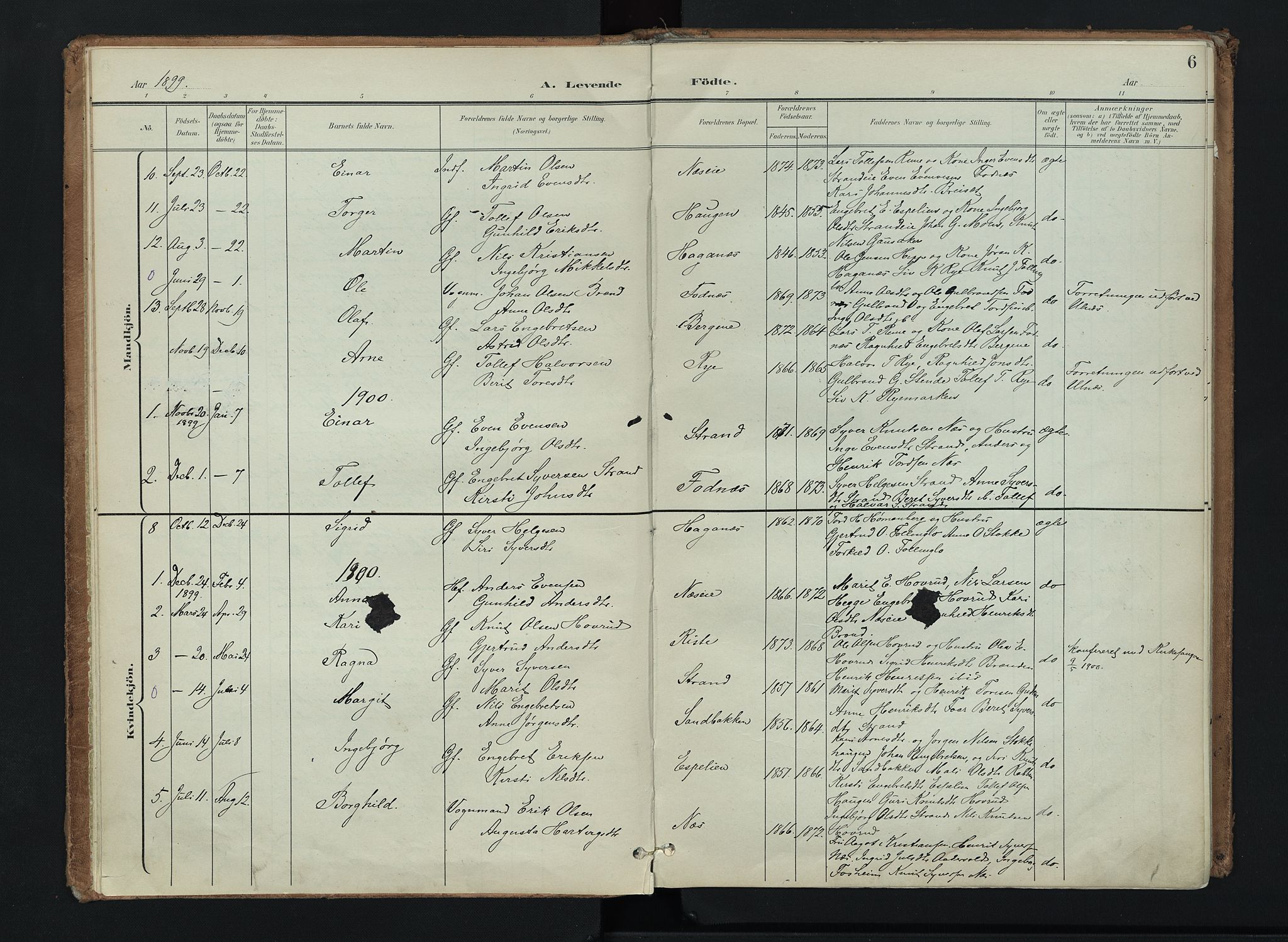 Nord-Aurdal prestekontor, AV/SAH-PREST-132/H/Ha/Haa/L0016: Parish register (official) no. 16, 1897-1925, p. 6