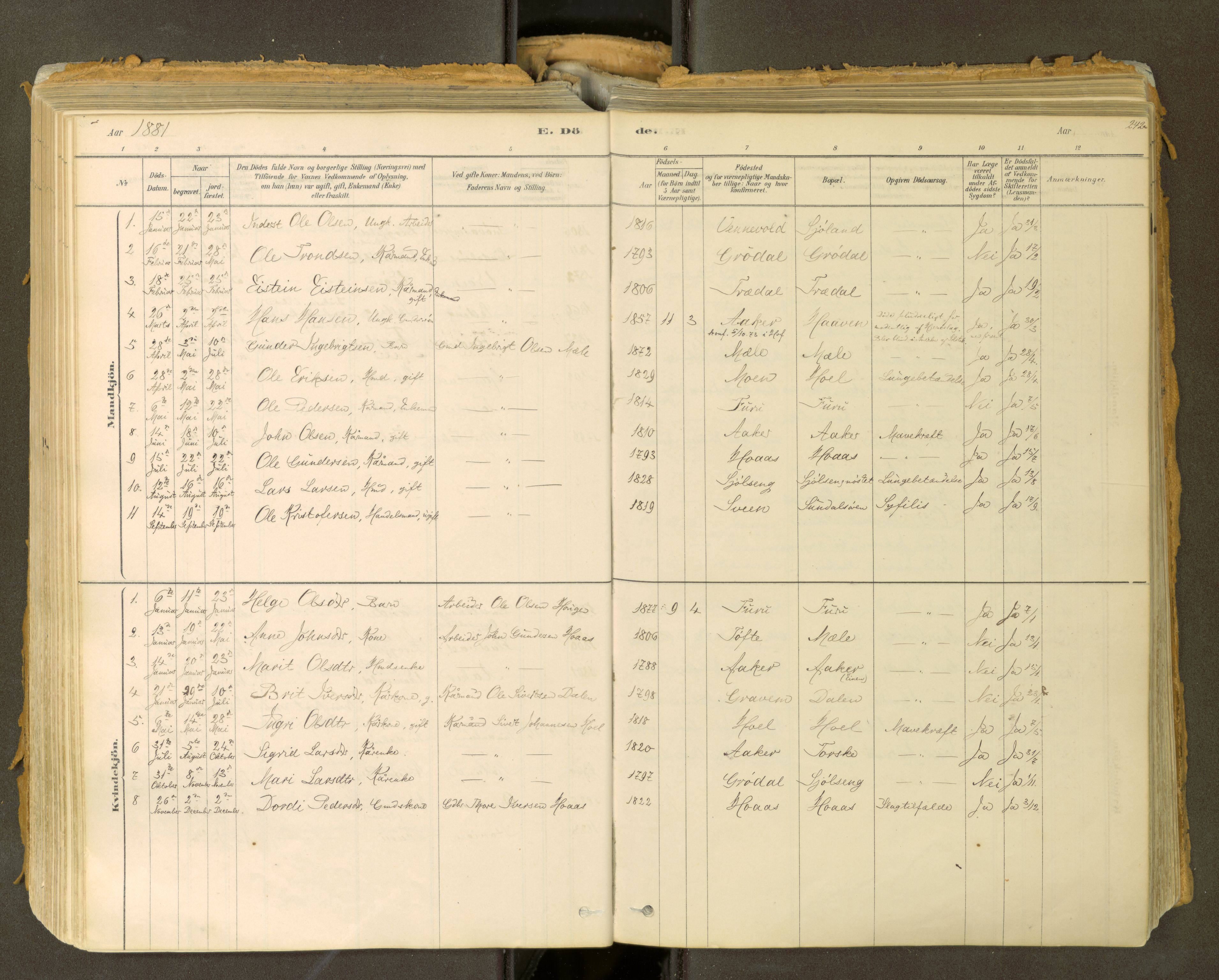 Sunndal sokneprestkontor, SAT/A-1085/1/I/I1/I1a: Parish register (official) no. 2, 1877-1914, p. 242