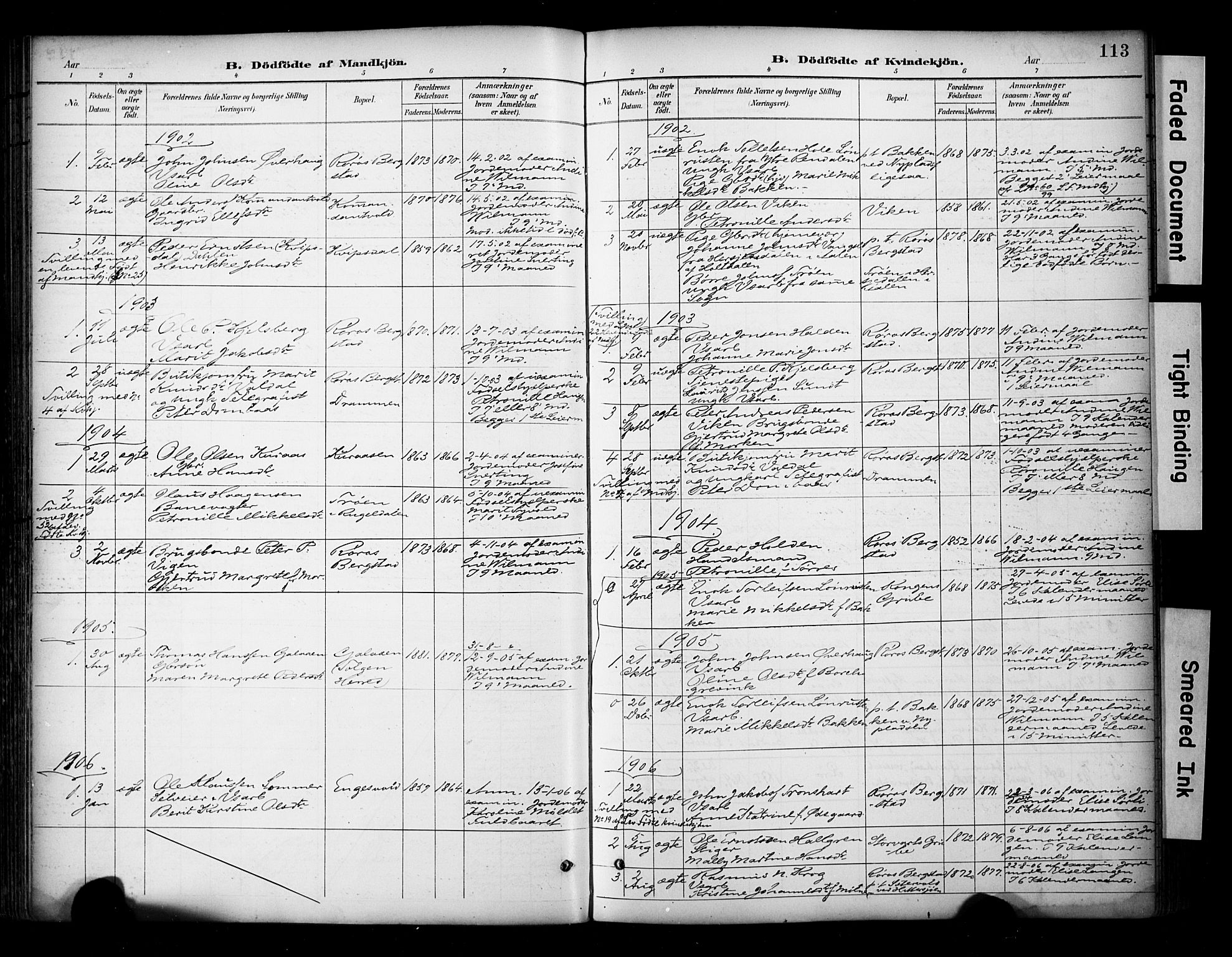 Ministerialprotokoller, klokkerbøker og fødselsregistre - Sør-Trøndelag, SAT/A-1456/681/L0936: Parish register (official) no. 681A14, 1899-1908, p. 113