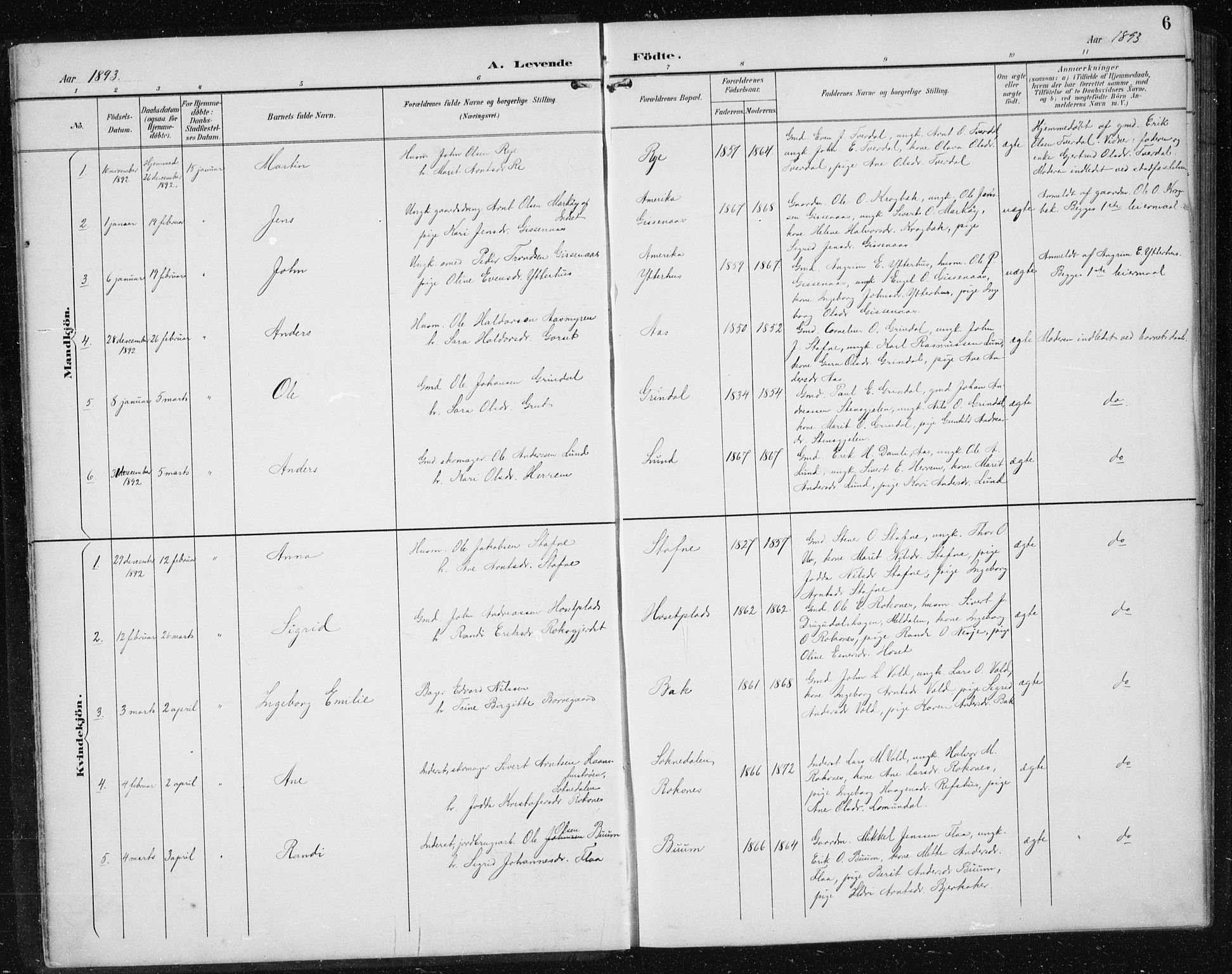 Ministerialprotokoller, klokkerbøker og fødselsregistre - Sør-Trøndelag, SAT/A-1456/674/L0876: Parish register (copy) no. 674C03, 1892-1912, p. 6