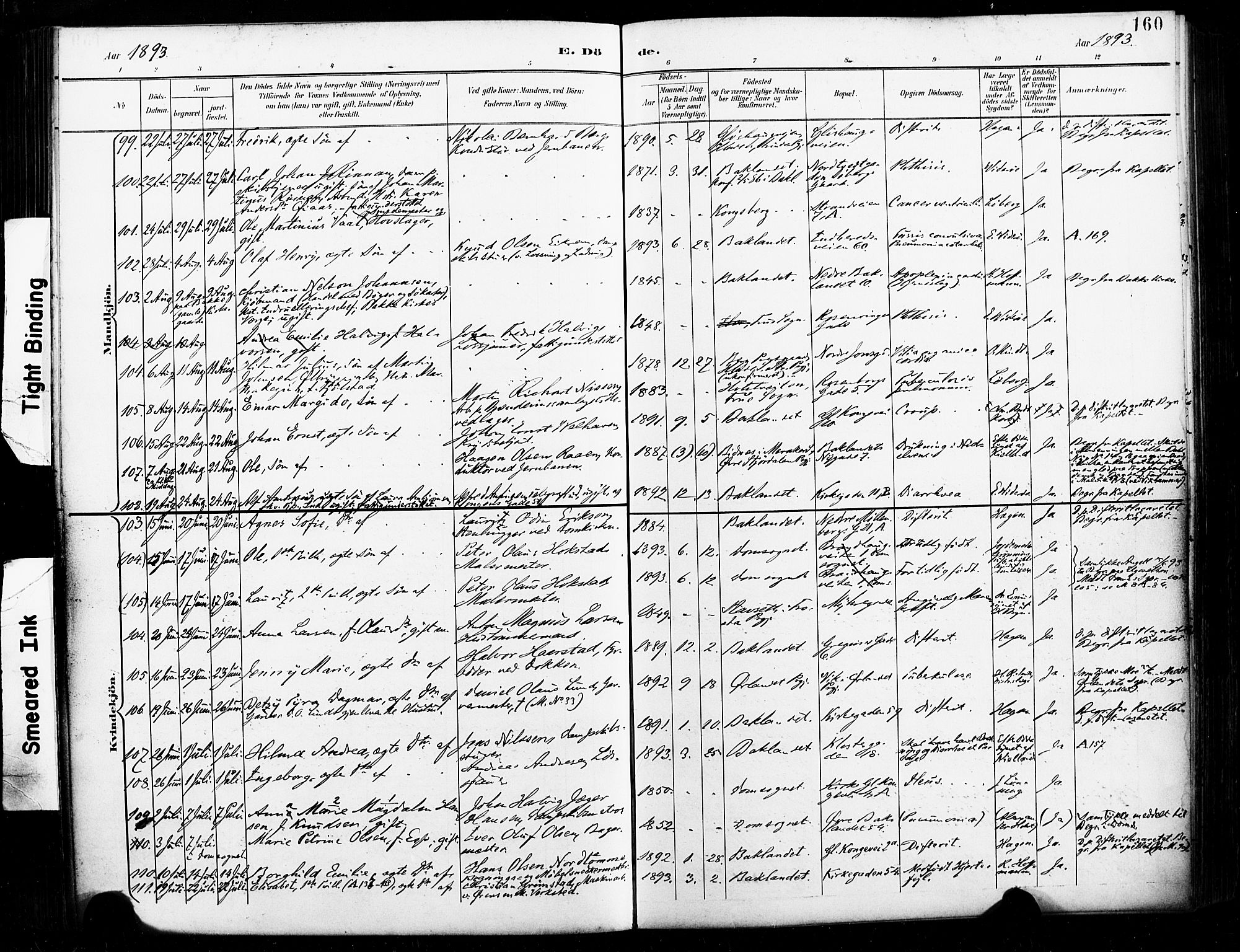 Ministerialprotokoller, klokkerbøker og fødselsregistre - Sør-Trøndelag, AV/SAT-A-1456/604/L0198: Parish register (official) no. 604A19, 1893-1900, p. 160