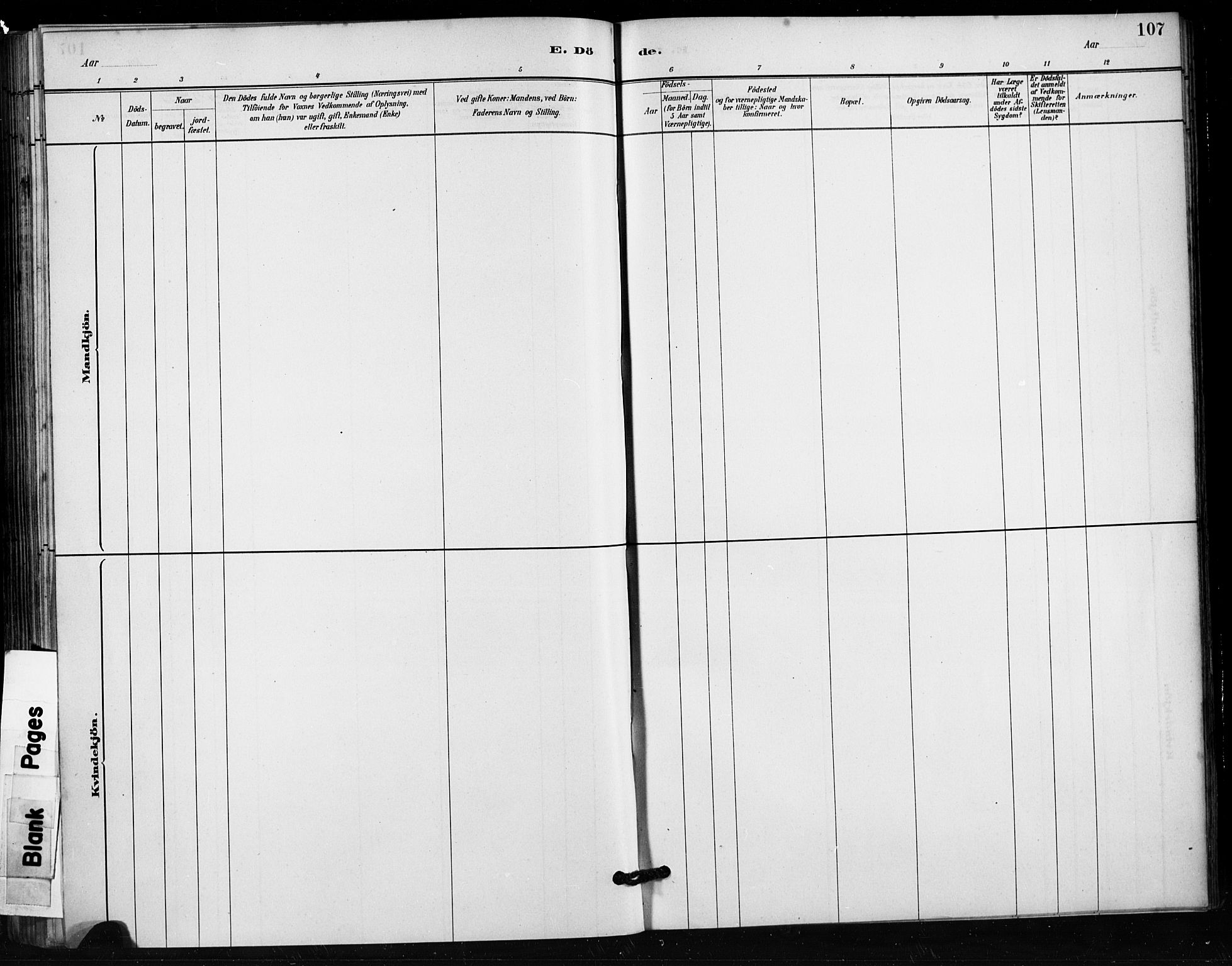 Håland sokneprestkontor, AV/SAST-A-101802/001/30BA/L0011: Parish register (official) no. A 10, 1883-1900, p. 107