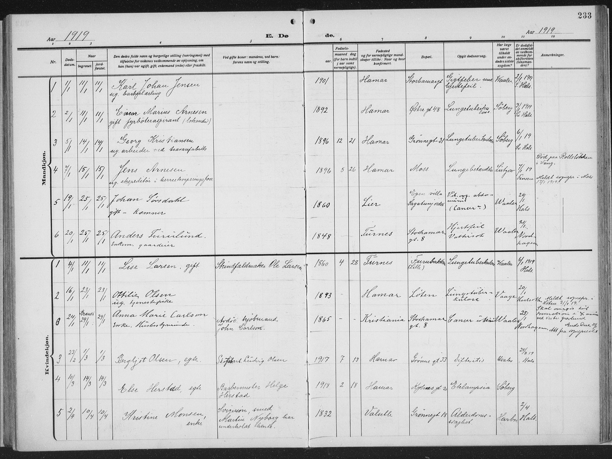 Hamar prestekontor, SAH/DOMPH-002/H/Ha/Haa/L0002: Parish register (official) no. 2, 1915-1936, p. 233