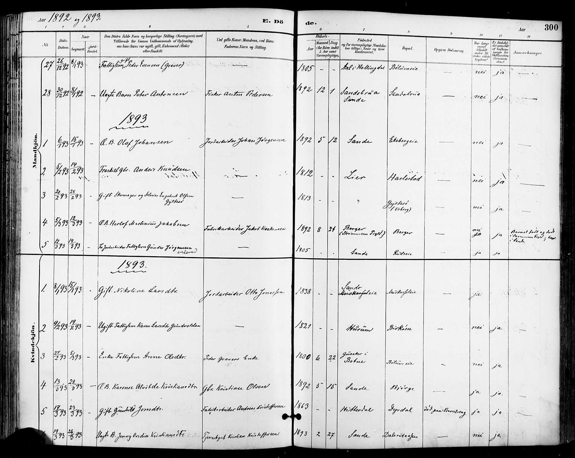 Sande Kirkebøker, AV/SAKO-A-53/F/Fa/L0007: Parish register (official) no. 7, 1888-1903, p. 300