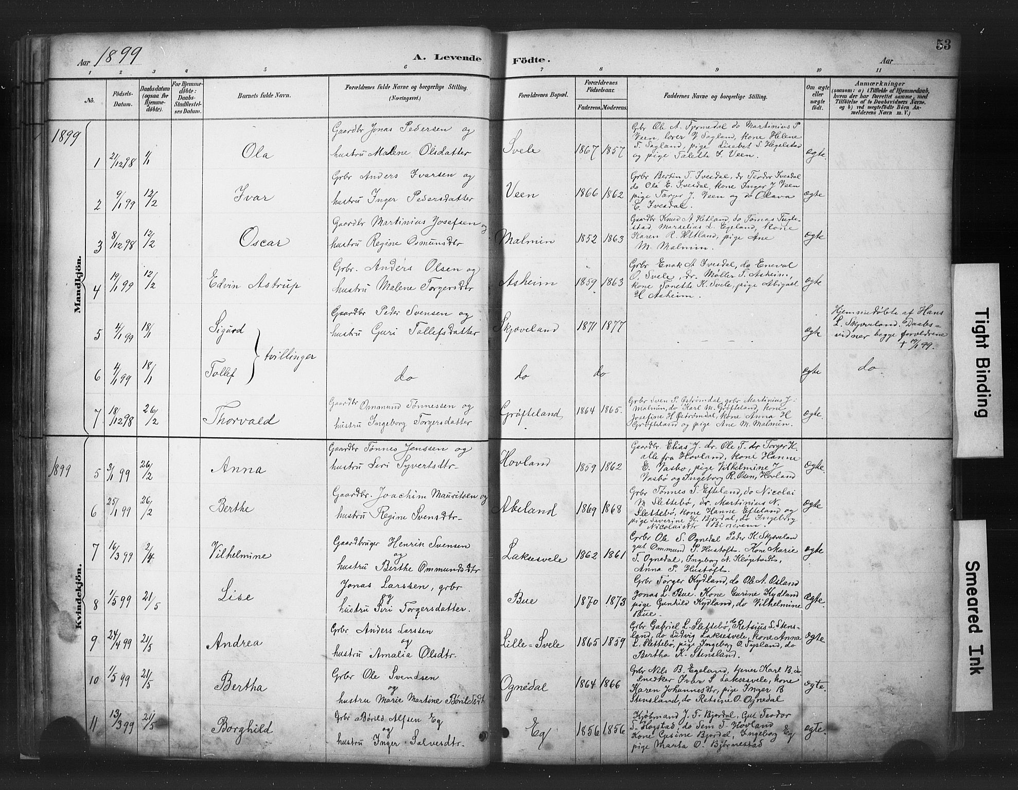 Helleland sokneprestkontor, AV/SAST-A-101810: Parish register (copy) no. B 5, 1887-1908, p. 53