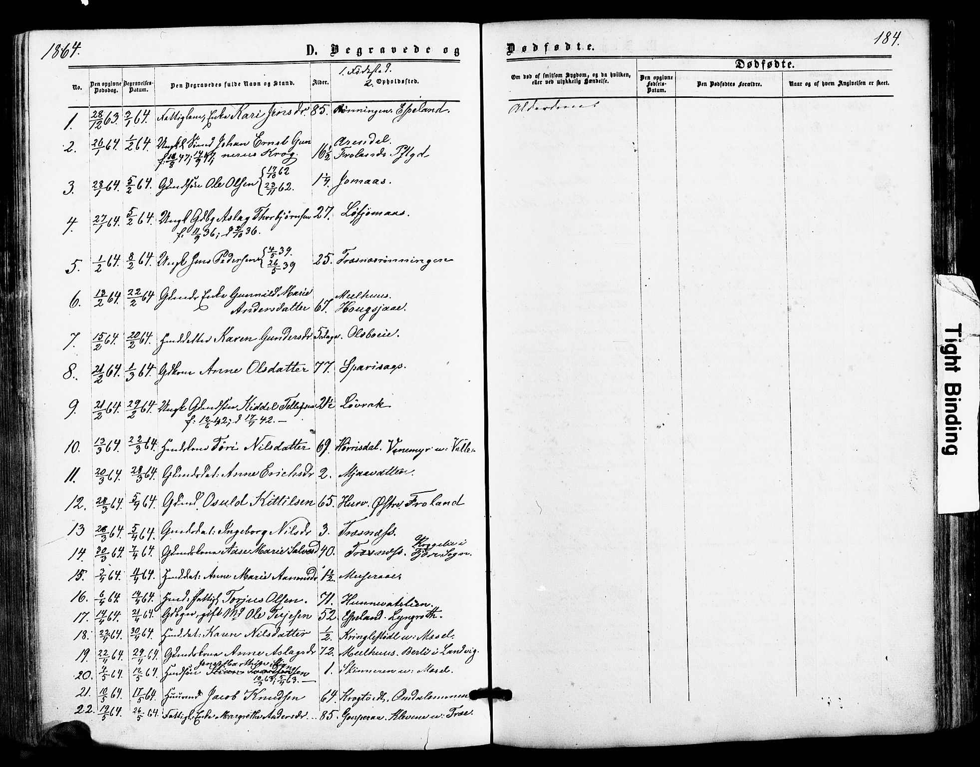 Froland sokneprestkontor, SAK/1111-0013/F/Fa/L0003: Parish register (official) no. A 3, 1864-1881, p. 184