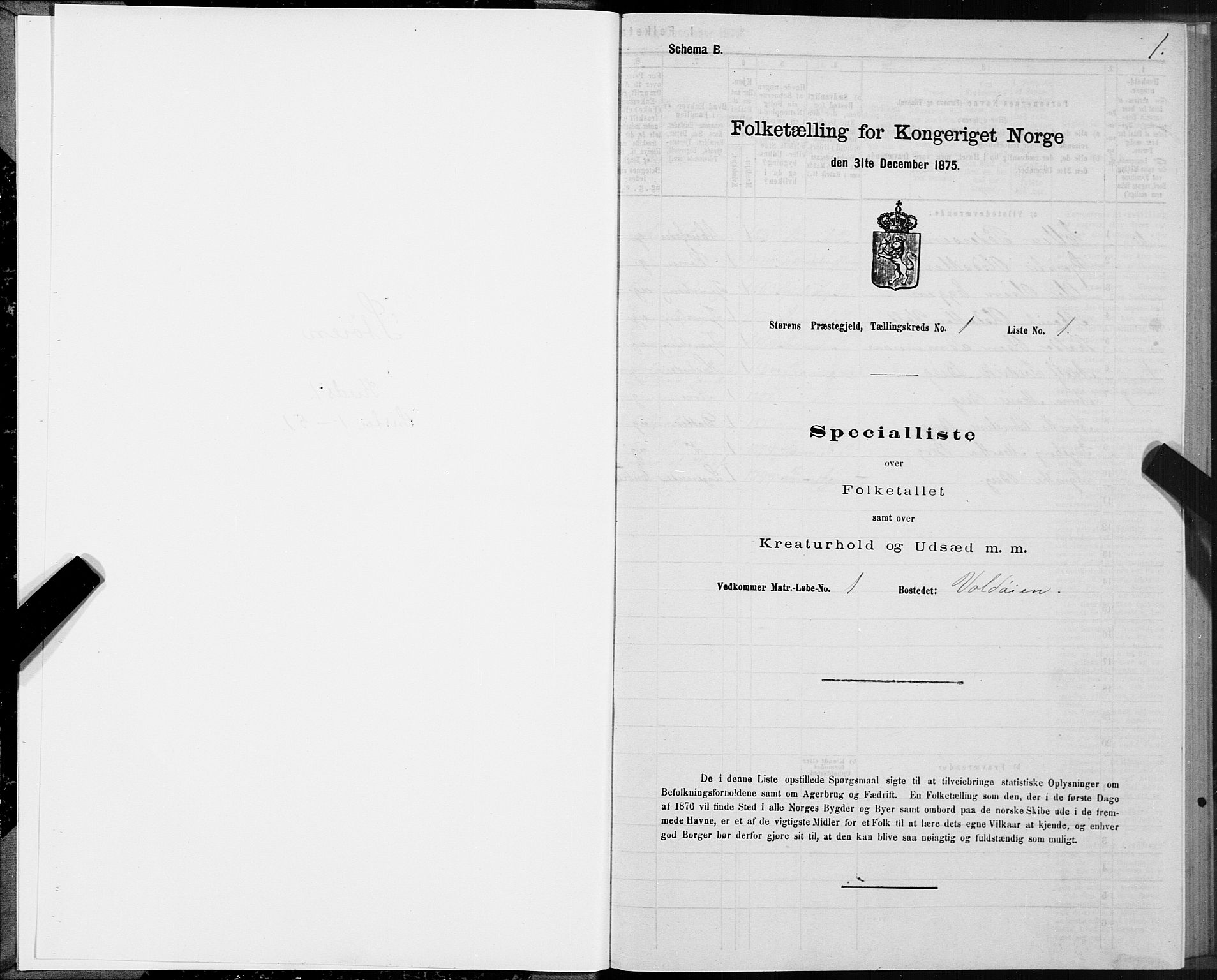 SAT, 1875 census for 1648P Støren, 1875, p. 1001