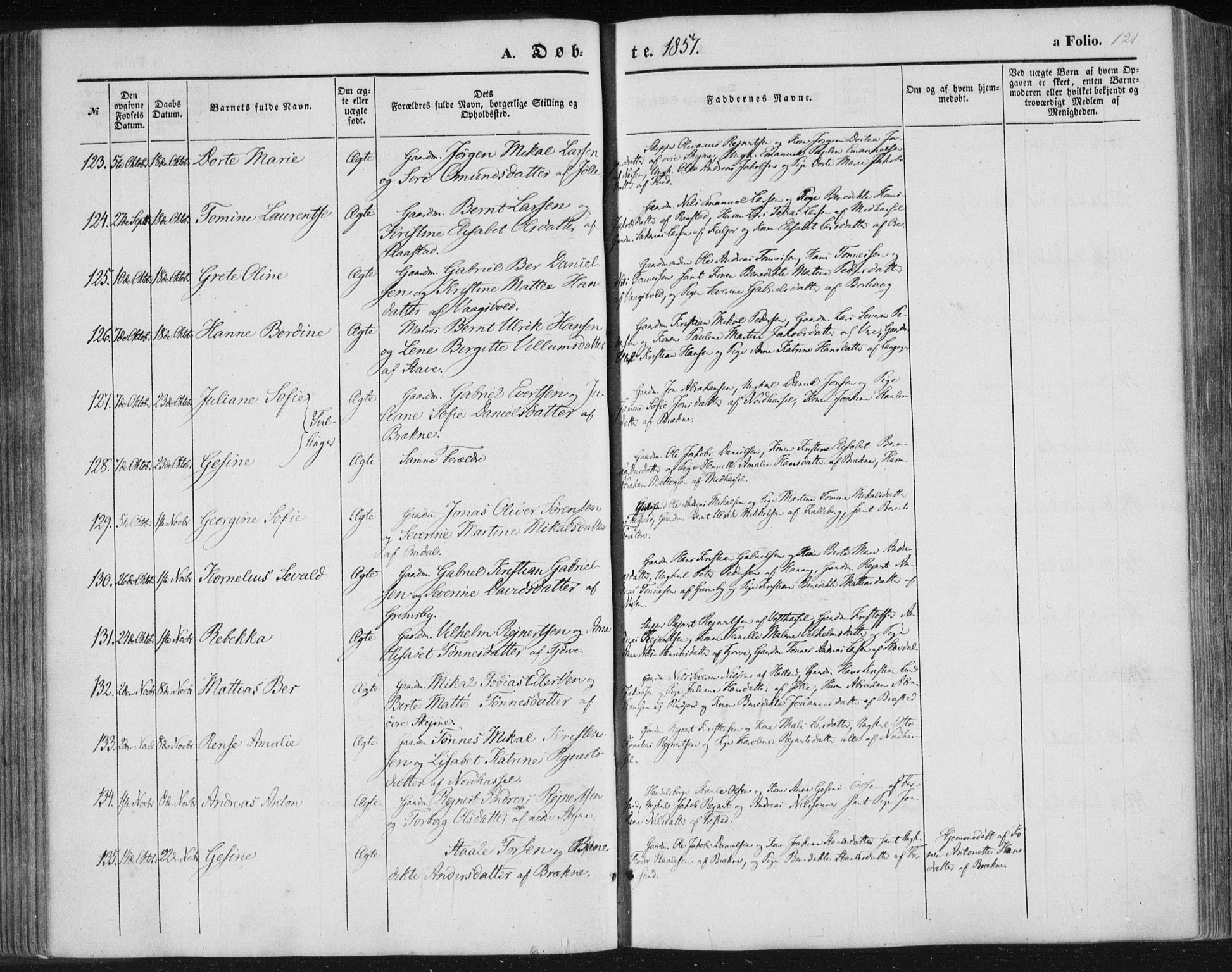 Lista sokneprestkontor, AV/SAK-1111-0027/F/Fa/L0010: Parish register (official) no. A 10, 1846-1861, p. 121