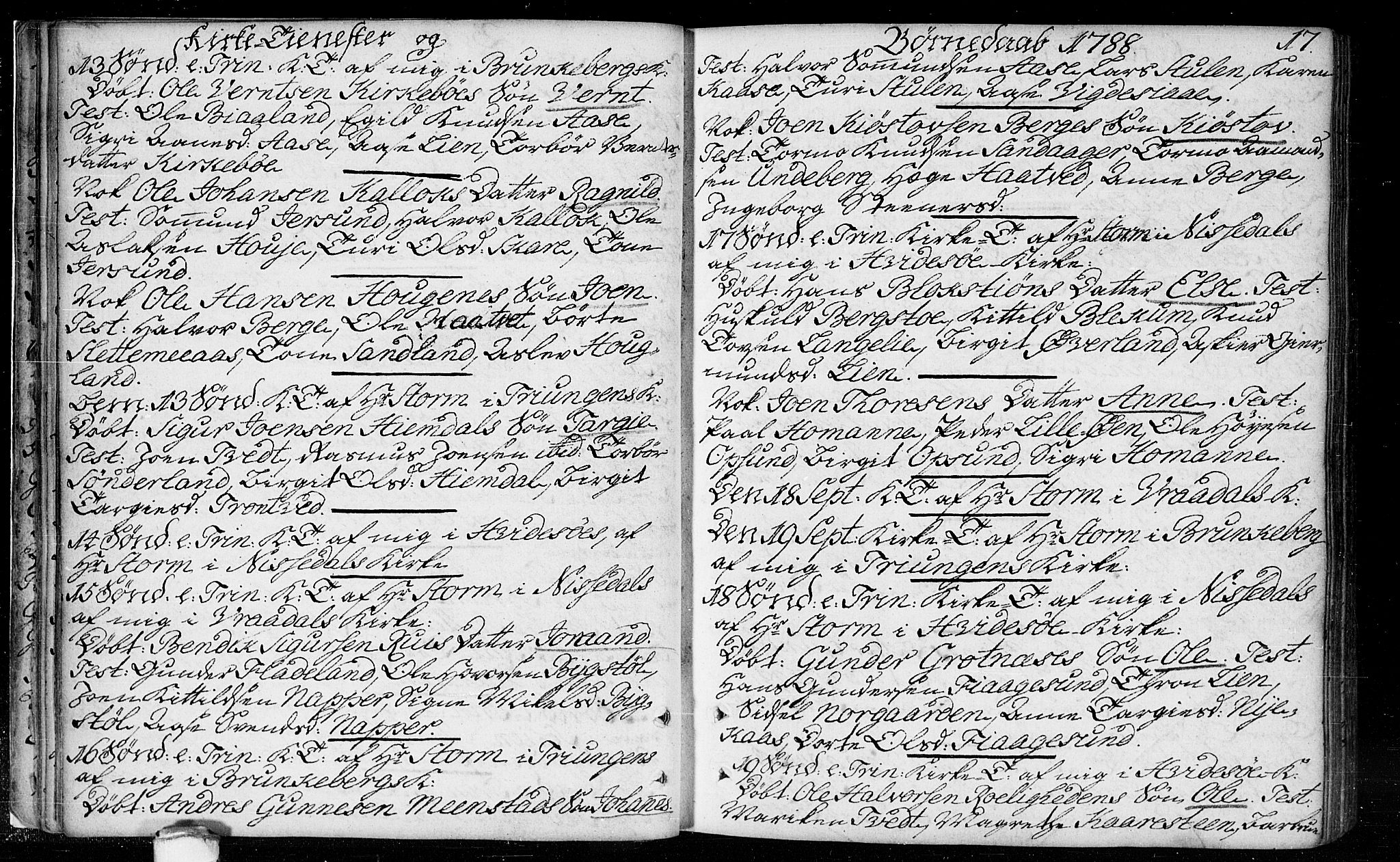 Kviteseid kirkebøker, SAKO/A-276/F/Fa/L0003: Parish register (official) no. I 3, 1787-1799, p. 17