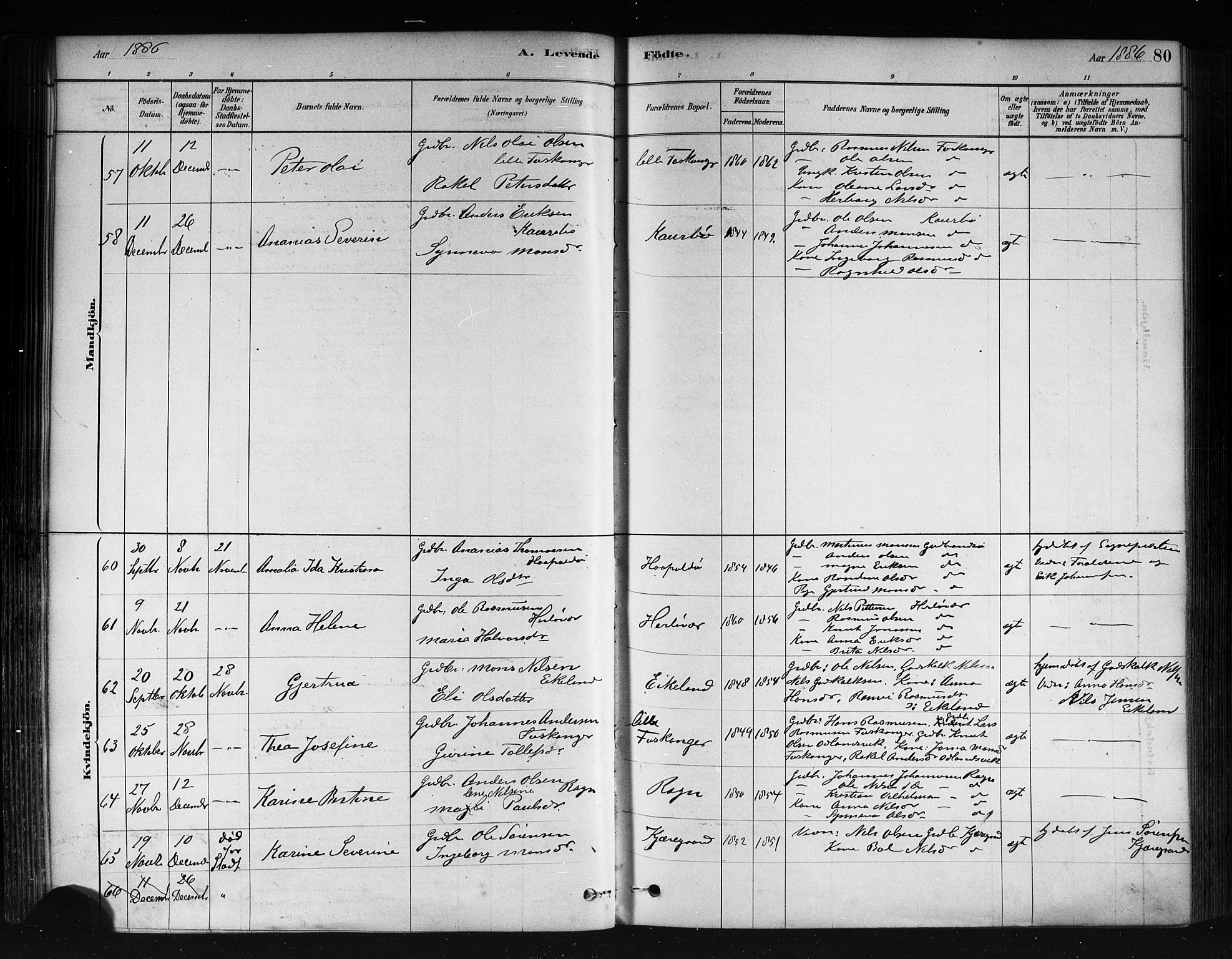 Herdla Sokneprestembete, AV/SAB-A-75701/H/Haa: Parish register (official) no. A 3, 1878-1890, p. 80