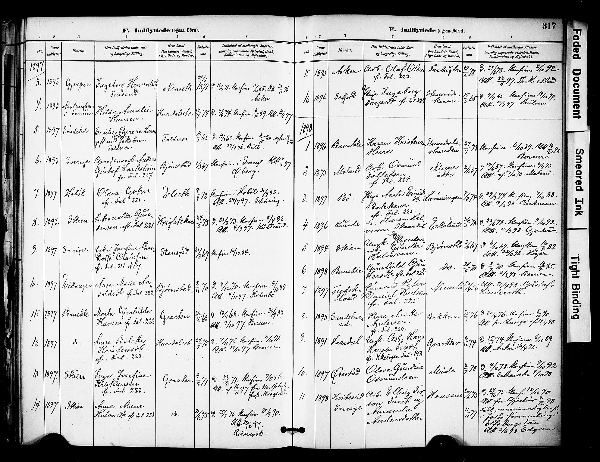 Solum kirkebøker, SAKO/A-306/F/Fa/L0010: Parish register (official) no. I 10, 1888-1898, p. 317