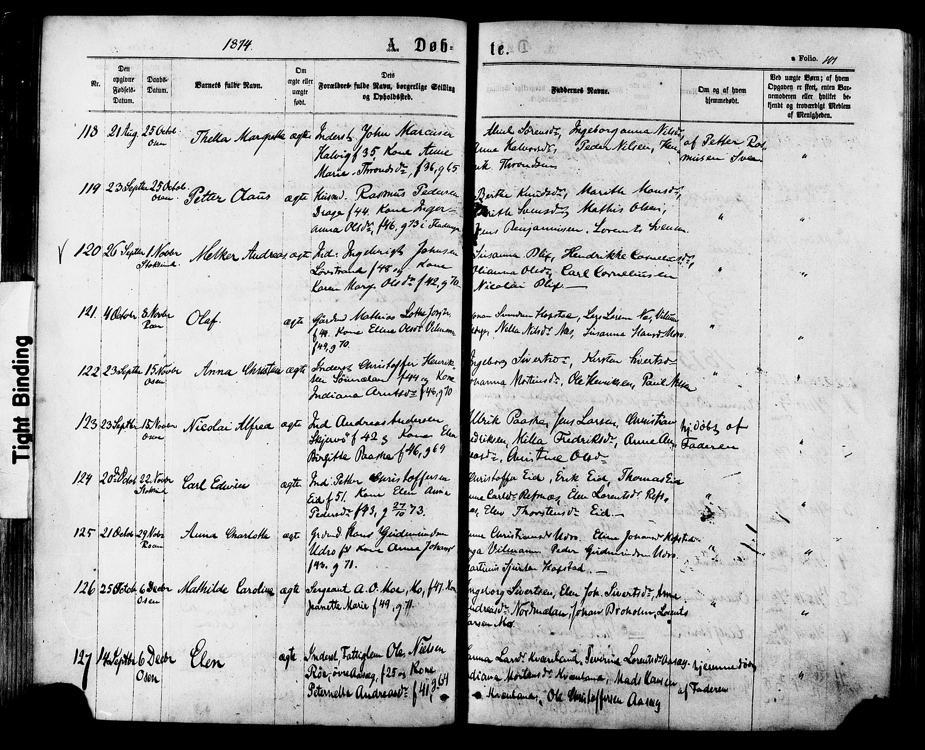 Ministerialprotokoller, klokkerbøker og fødselsregistre - Sør-Trøndelag, SAT/A-1456/657/L0706: Parish register (official) no. 657A07, 1867-1878, p. 101