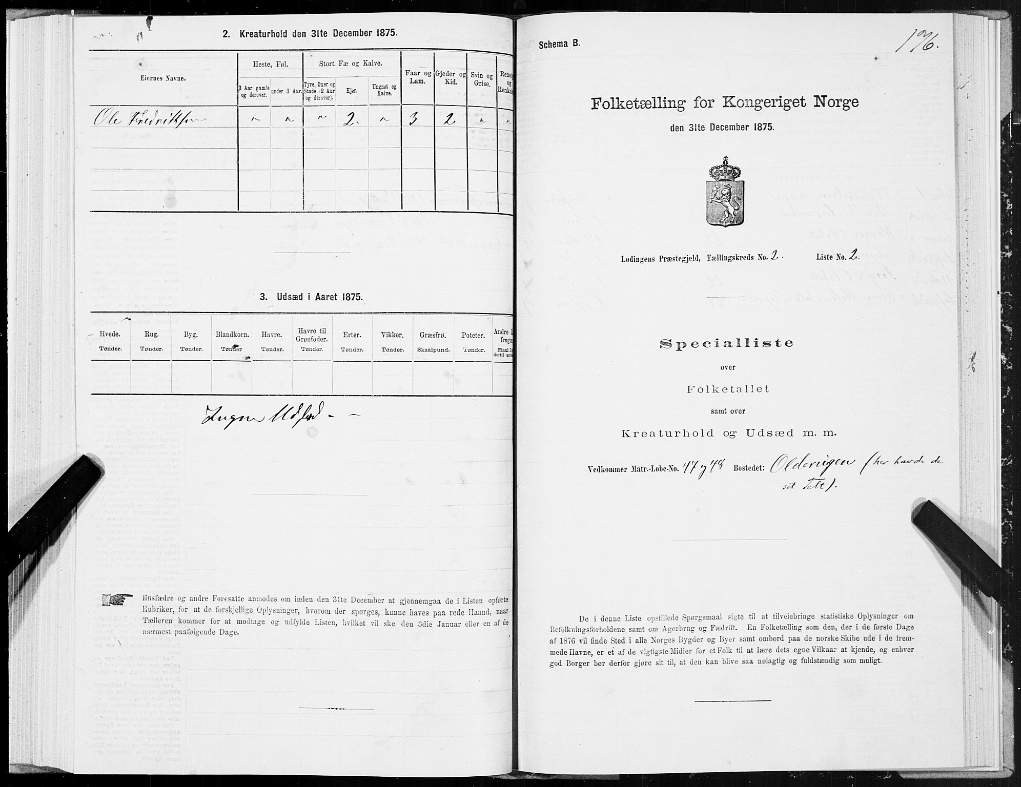 SAT, 1875 census for 1851P Lødingen, 1875, p. 1176