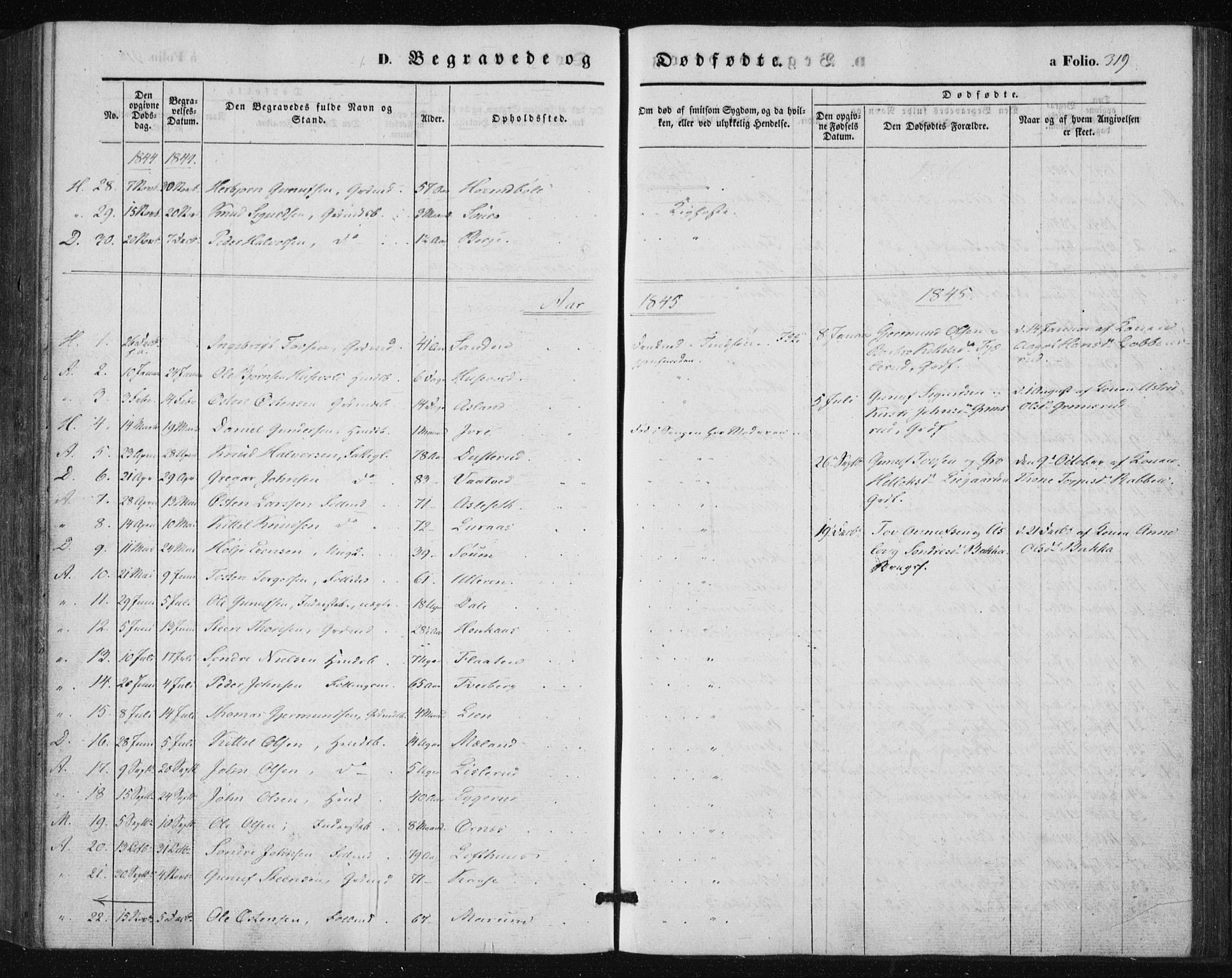 Tinn kirkebøker, AV/SAKO-A-308/F/Fa/L0005: Parish register (official) no. I 5, 1844-1856, p. 319