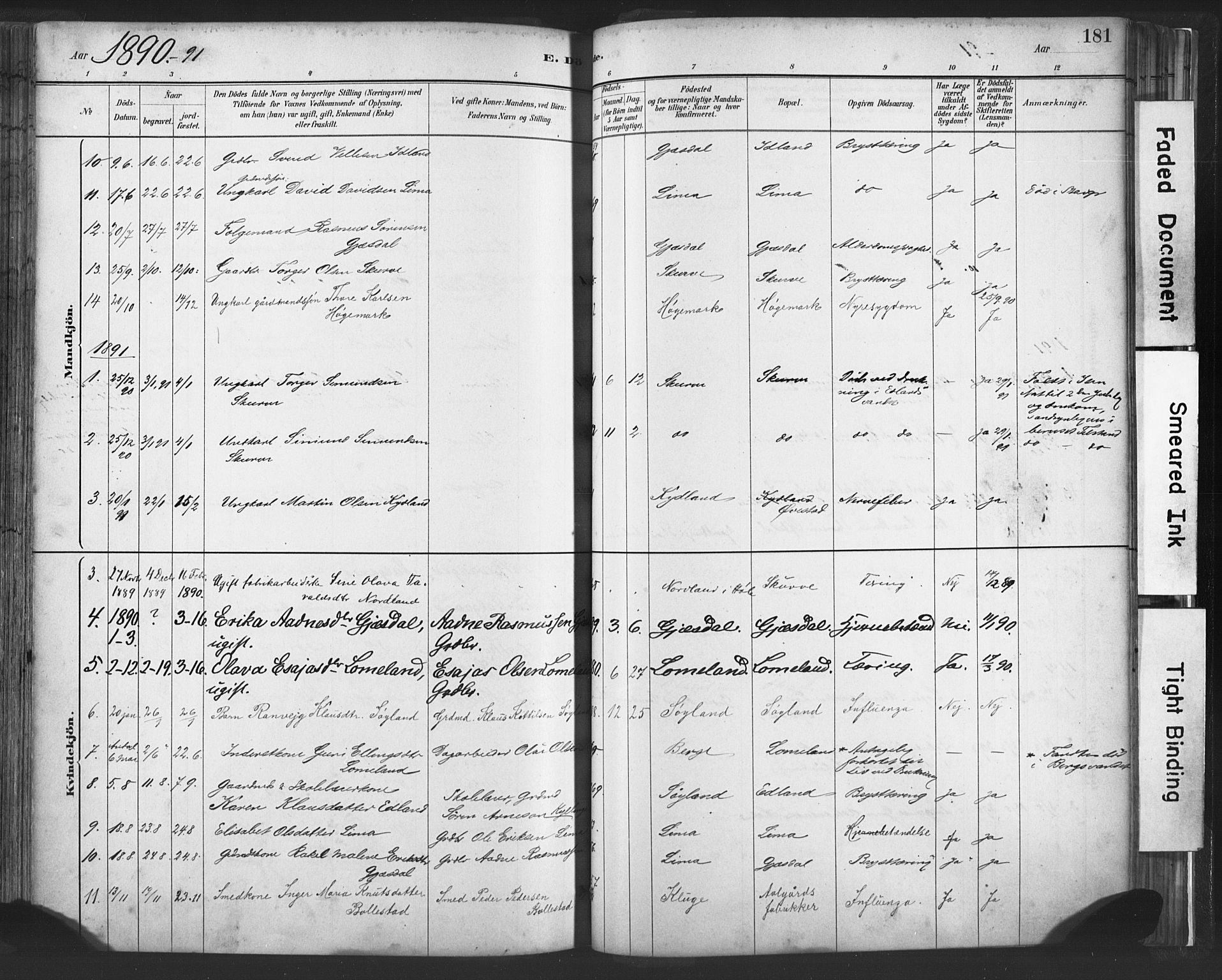 Lye sokneprestkontor, SAST/A-101794/001/30BA/L0010: Parish register (official) no. A 10, 1881-1896, p. 181