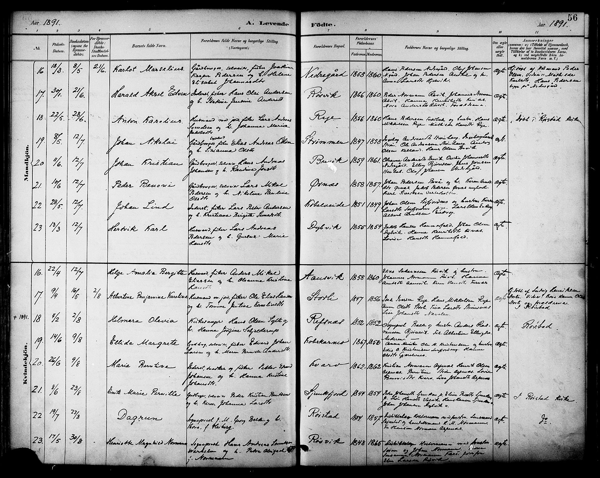 Ministerialprotokoller, klokkerbøker og fødselsregistre - Nordland, AV/SAT-A-1459/854/L0777: Parish register (official) no. 854A01 /1, 1883-1891, p. 56