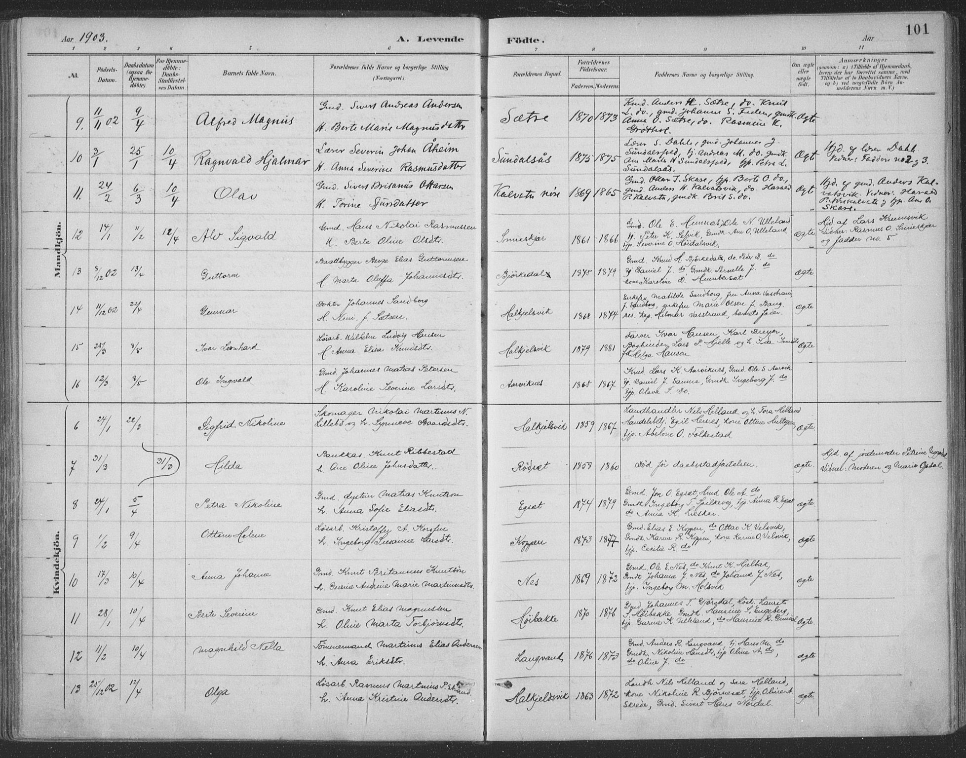 Ministerialprotokoller, klokkerbøker og fødselsregistre - Møre og Romsdal, AV/SAT-A-1454/511/L0142: Parish register (official) no. 511A09, 1891-1905, p. 101