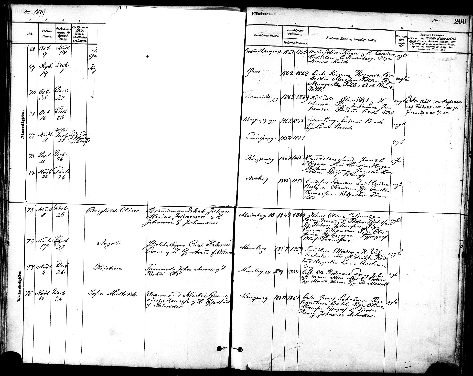 Ministerialprotokoller, klokkerbøker og fødselsregistre - Sør-Trøndelag, AV/SAT-A-1456/601/L0057: Parish register (official) no. 601A25, 1877-1891, p. 206