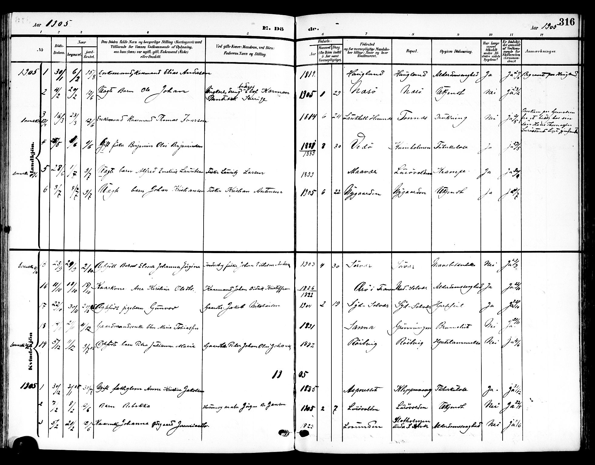 Ministerialprotokoller, klokkerbøker og fødselsregistre - Nordland, SAT/A-1459/839/L0569: Parish register (official) no. 839A06, 1903-1922, p. 316