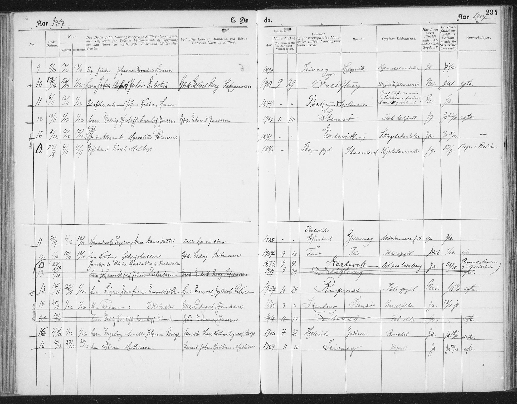 Ministerialprotokoller, klokkerbøker og fødselsregistre - Nordland, SAT/A-1459/804/L0081: Parish register (official) no. 804A02, 1901-1915, p. 234