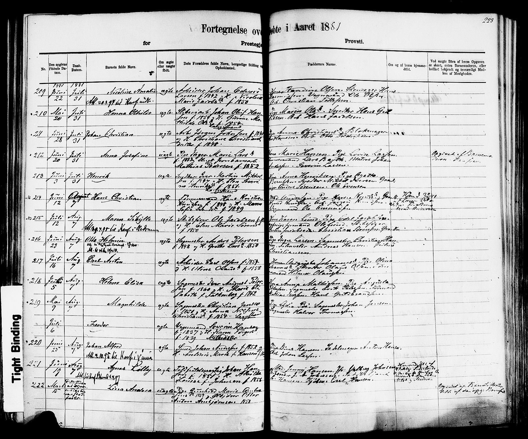 Larvik kirkebøker, AV/SAKO-A-352/F/Fa/L0006: Parish register (official) no. I 6, 1871-1883, p. 223